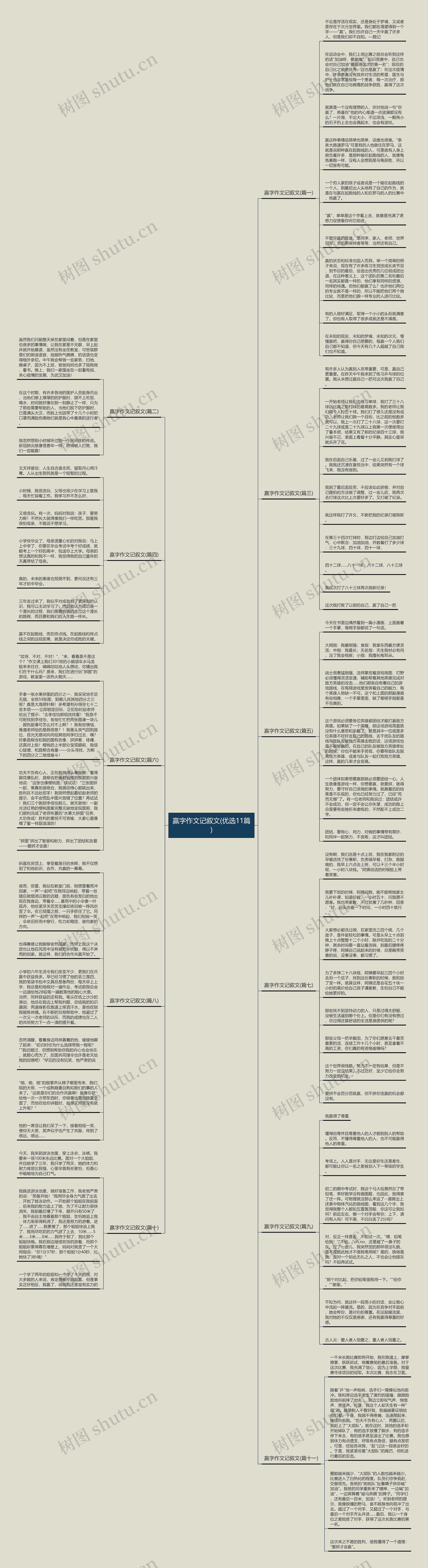 赢字作文记叙文(优选11篇)思维导图