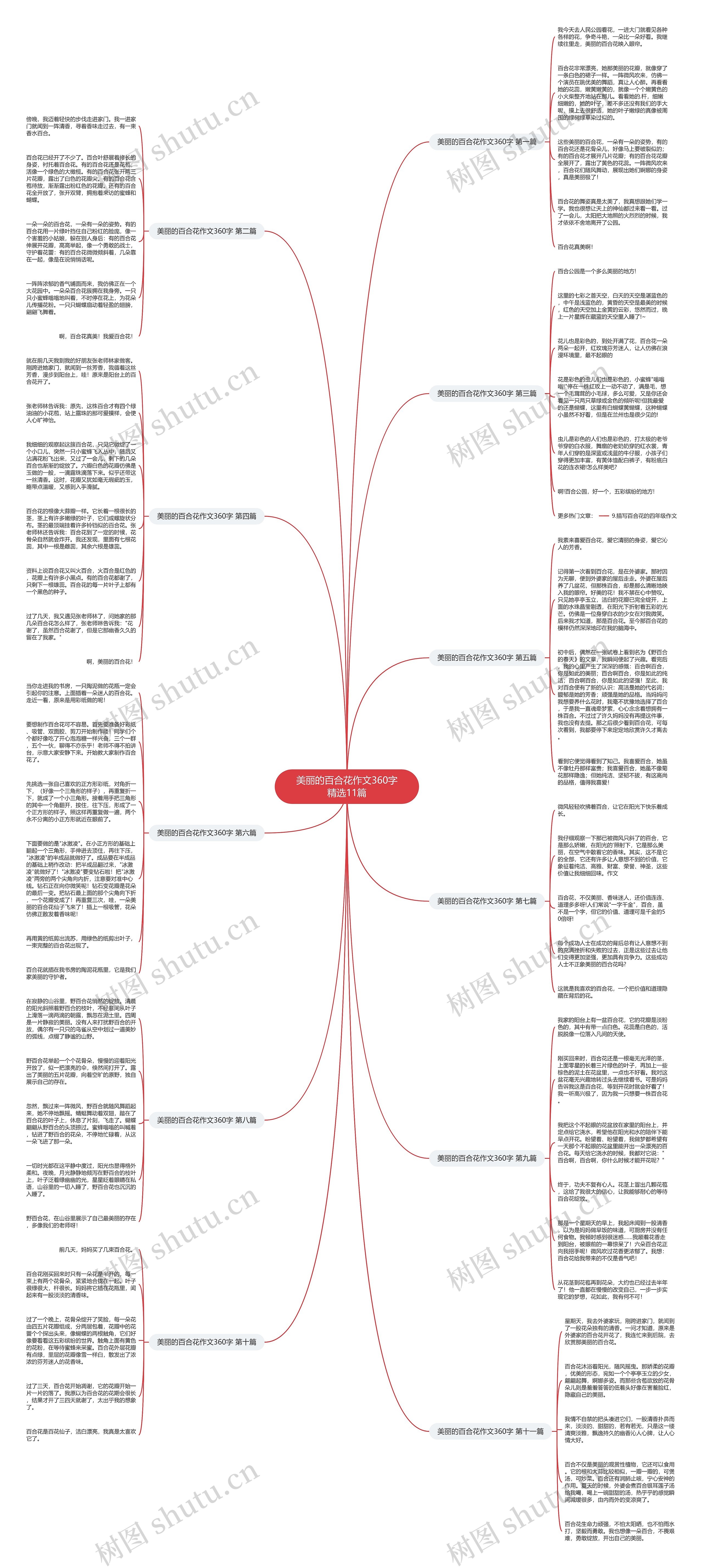 美丽的百合花作文360字精选11篇 美丽的百合花作文360字精选11篇