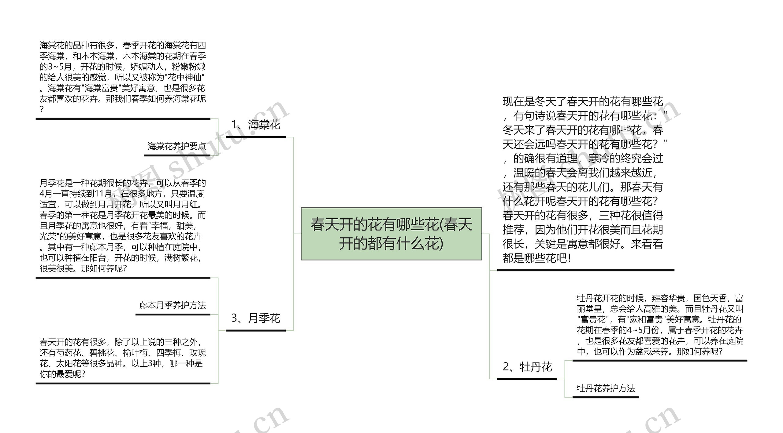 春天开的花有哪些花(春天开的都有什么花)思维导图