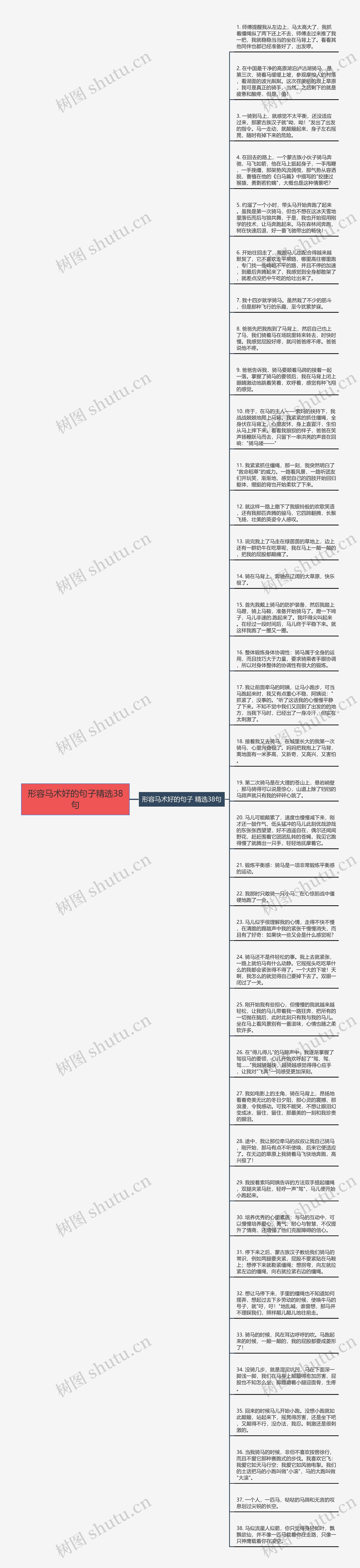 形容马术好的句子精选38句