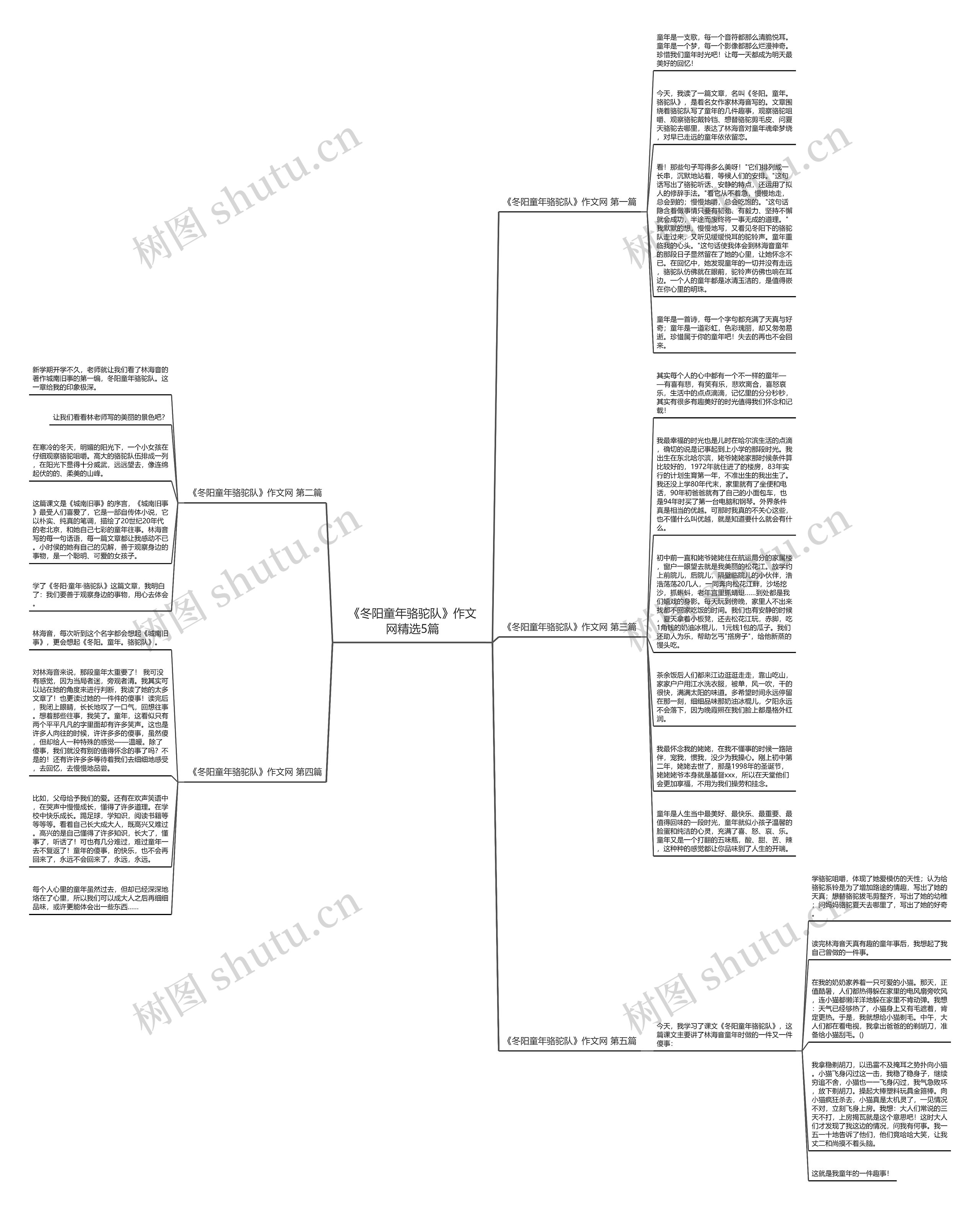 《冬阳童年骆驼队》作文网精选5篇思维导图