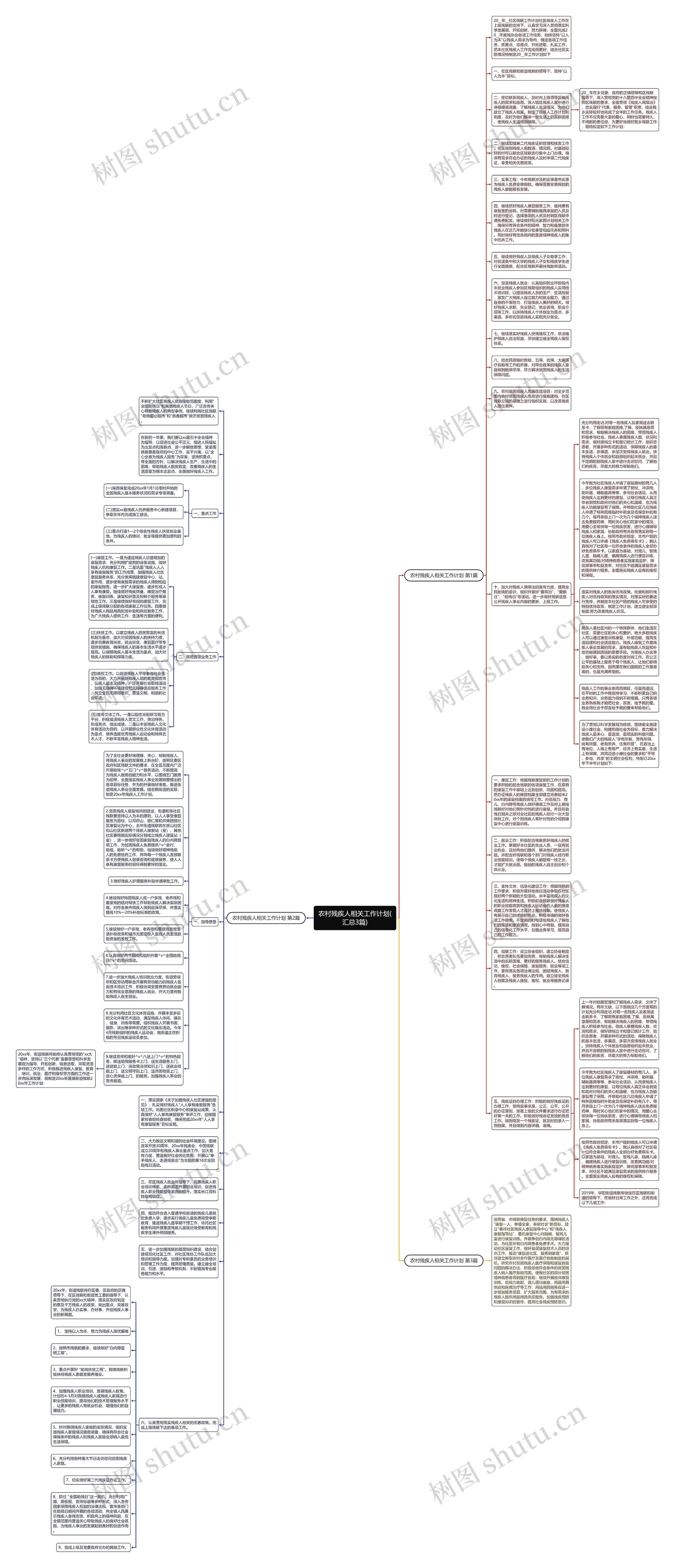 农村残疾人相关工作计划(汇总3篇)思维导图