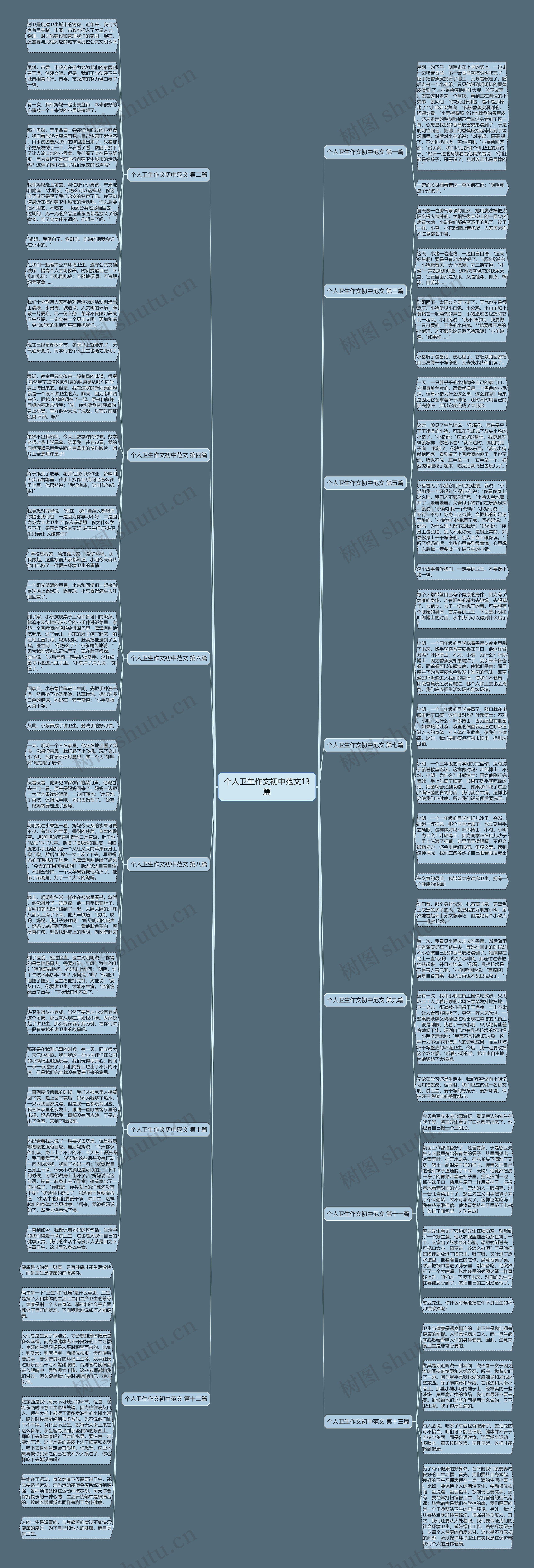 个人卫生作文初中范文13篇思维导图