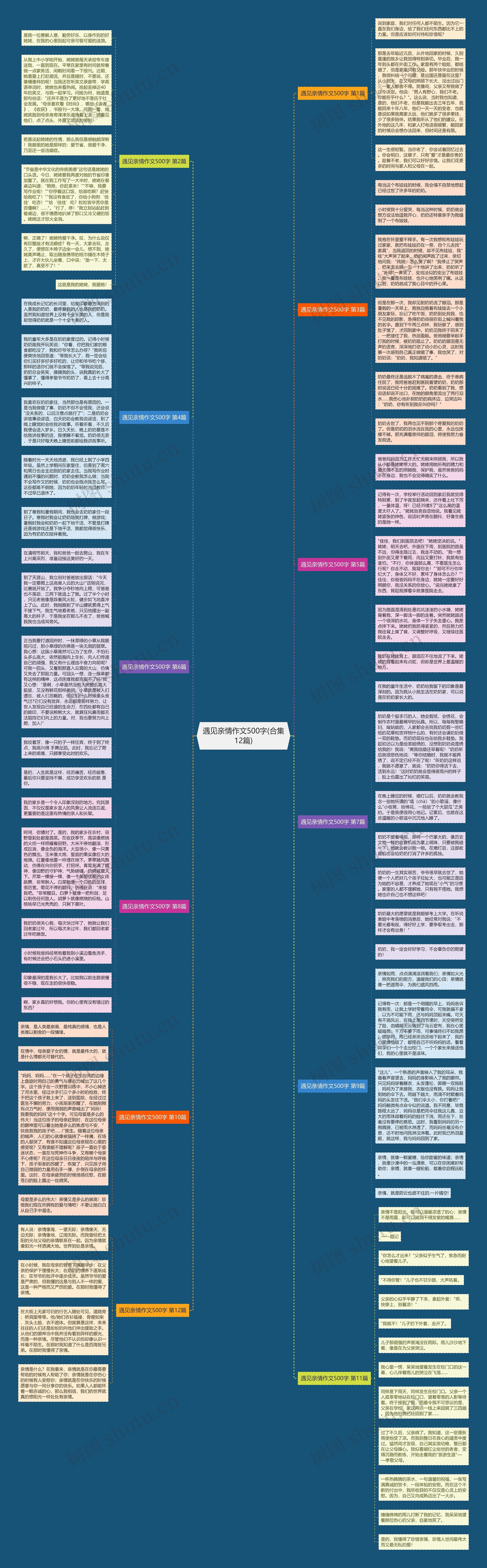 遇见亲情作文500字(合集12篇)思维导图