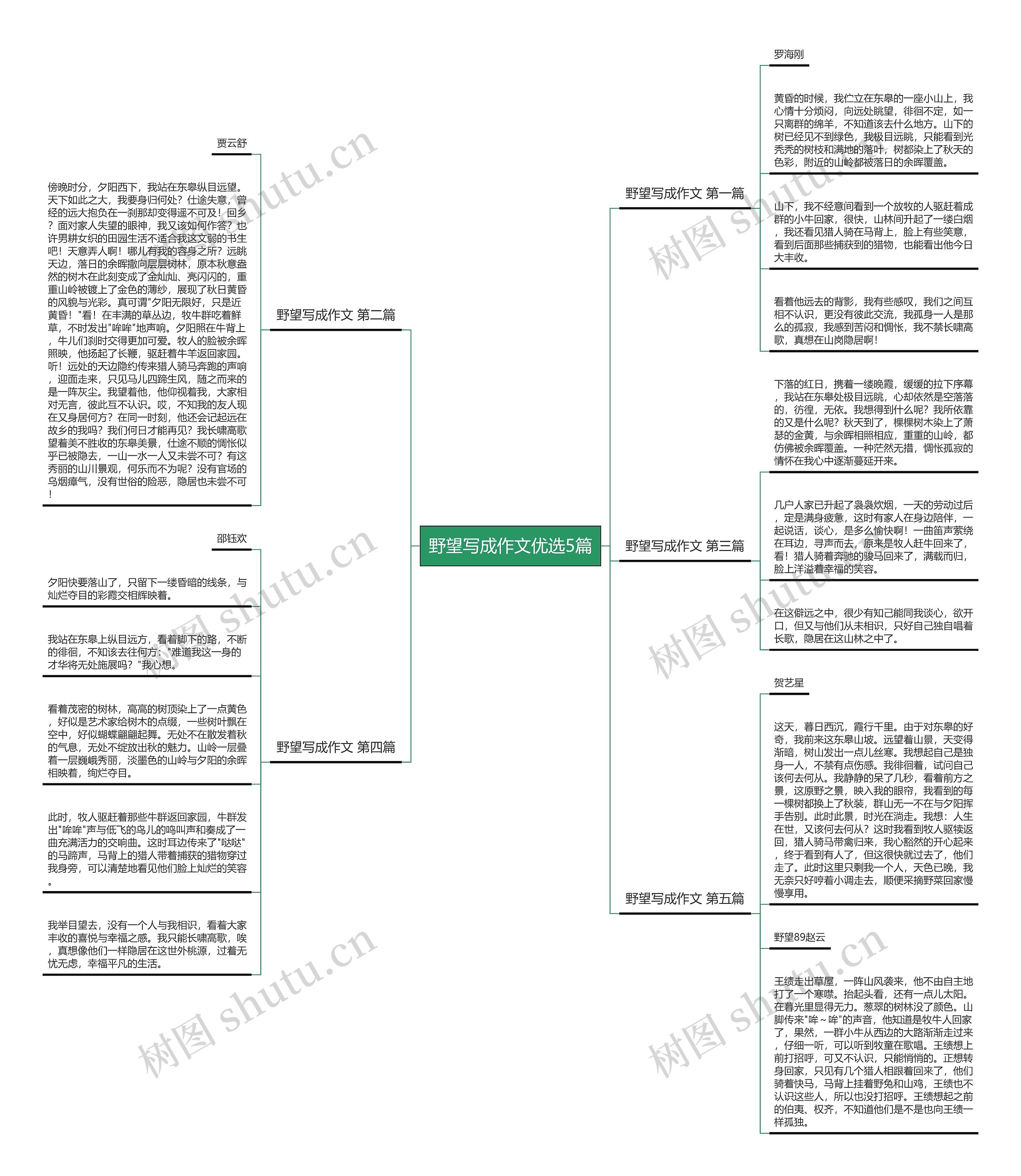 野望写成作文优选5篇思维导图