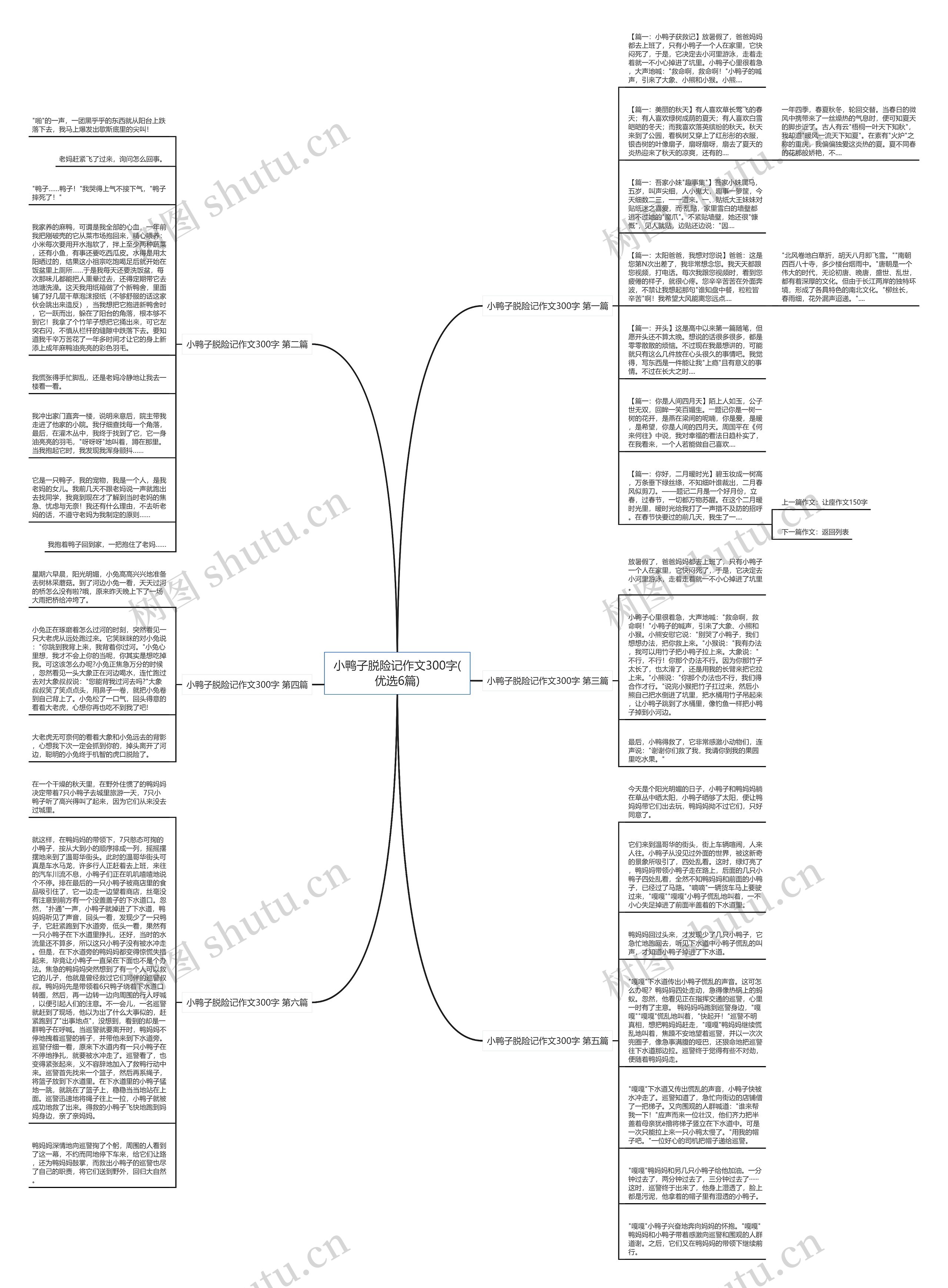 小鸭子脱险记作文300字(优选6篇)思维导图
