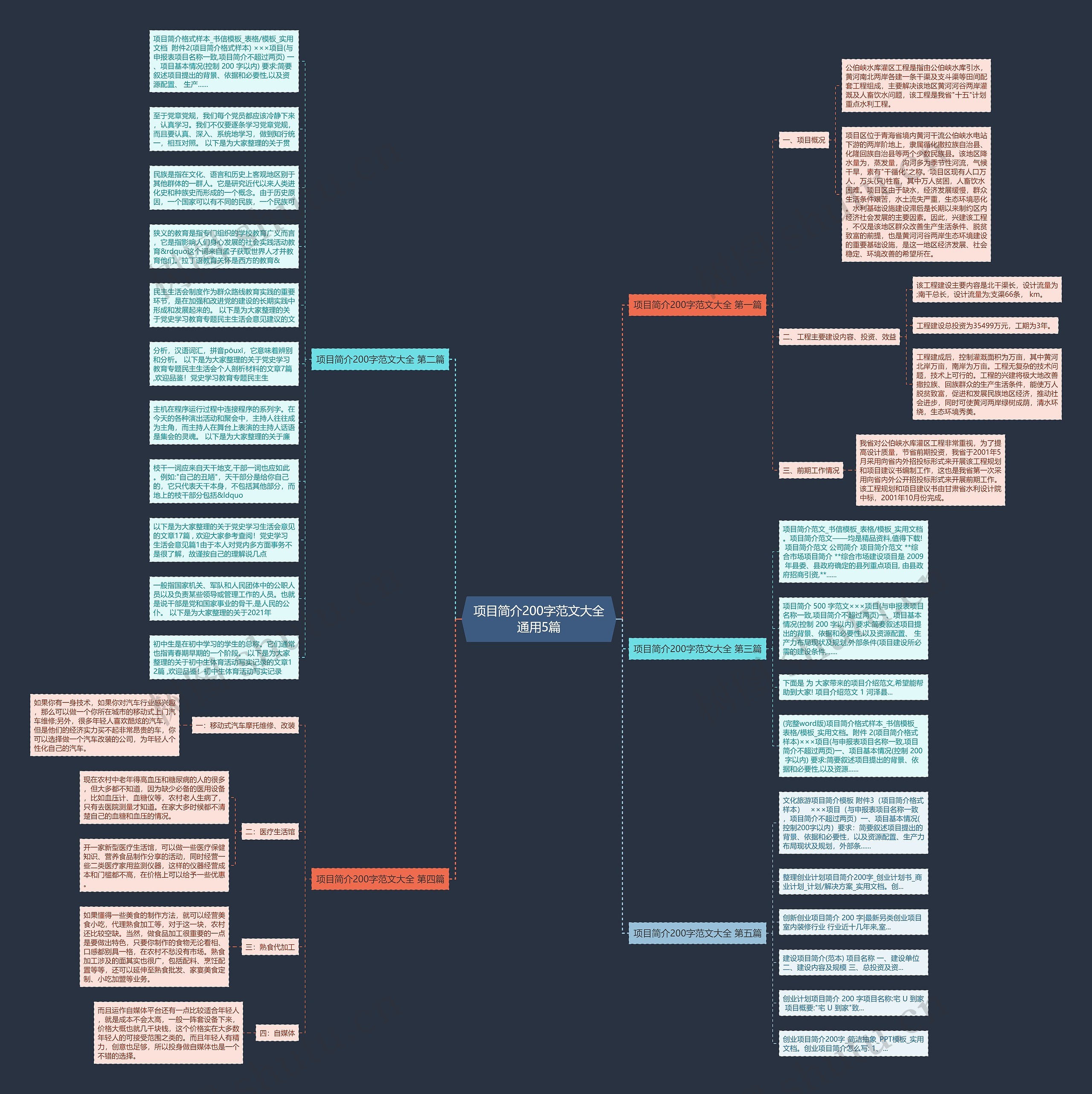 项目简介200字范文大全通用5篇思维导图