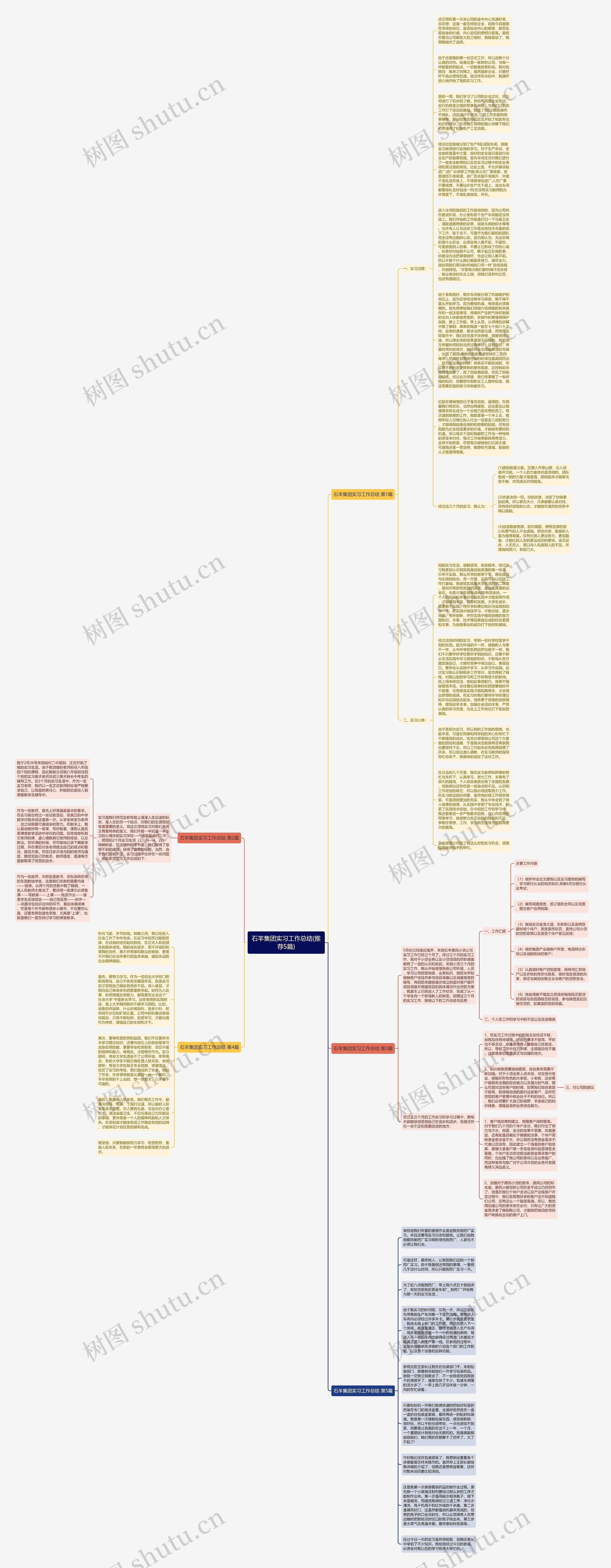 石羊集团实习工作总结(推荐5篇)思维导图