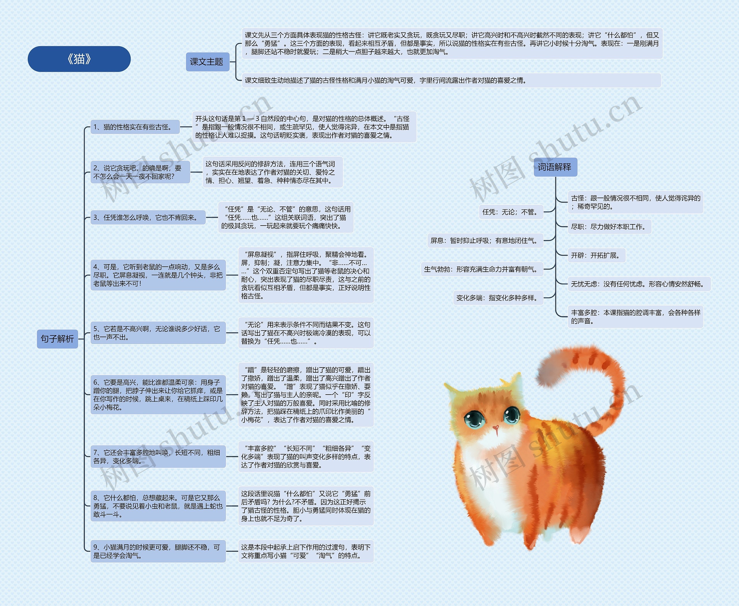 《猫》思维导图