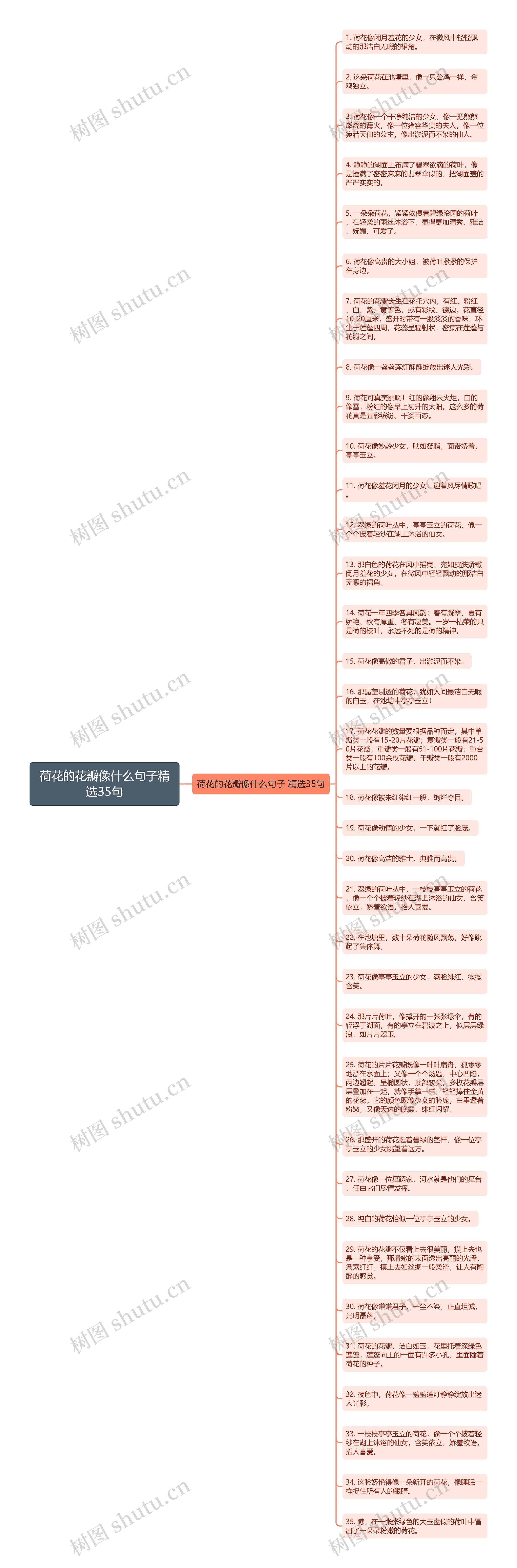 荷花的花瓣像什么句子精选35句