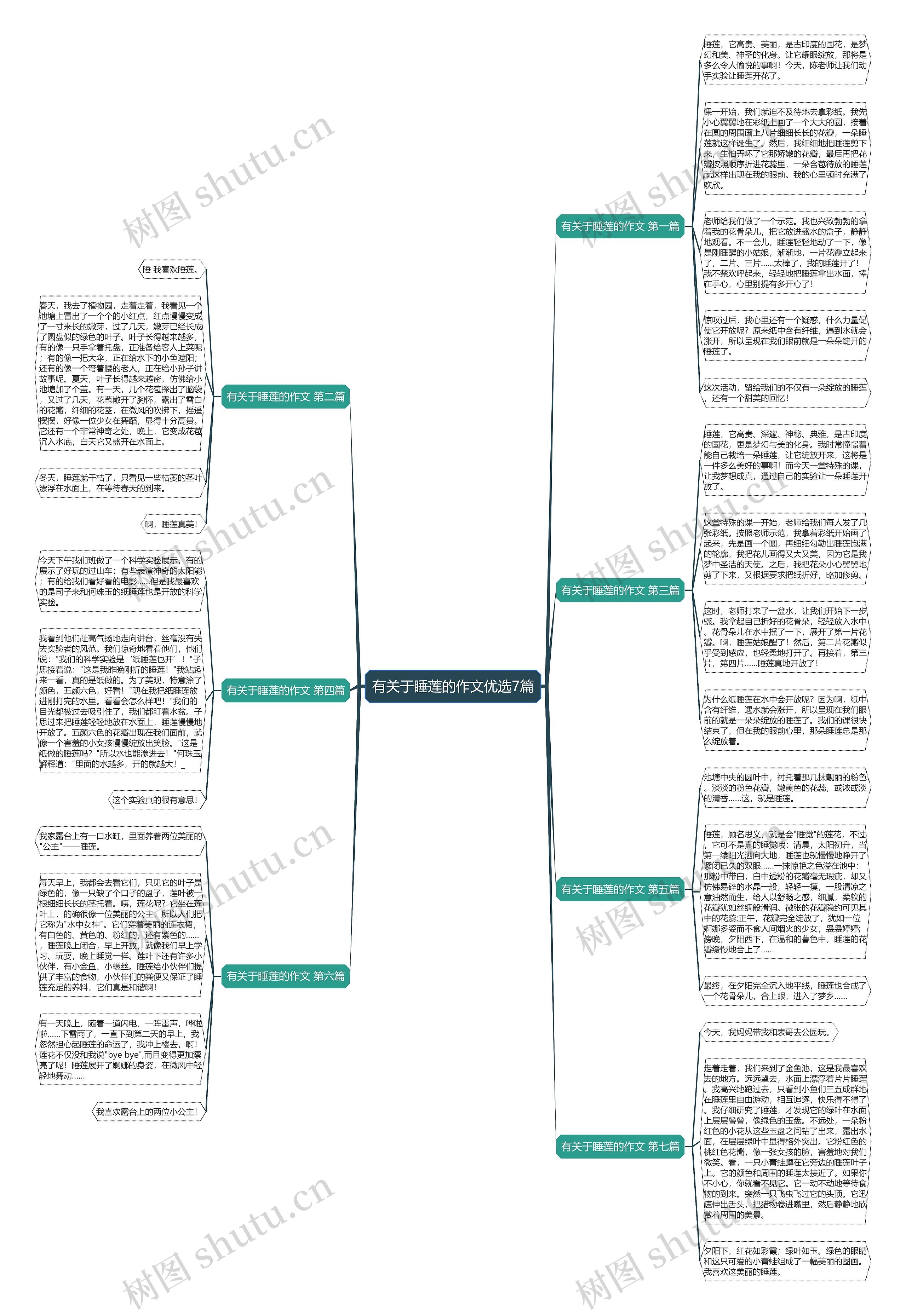 有关于睡莲的作文优选7篇思维导图