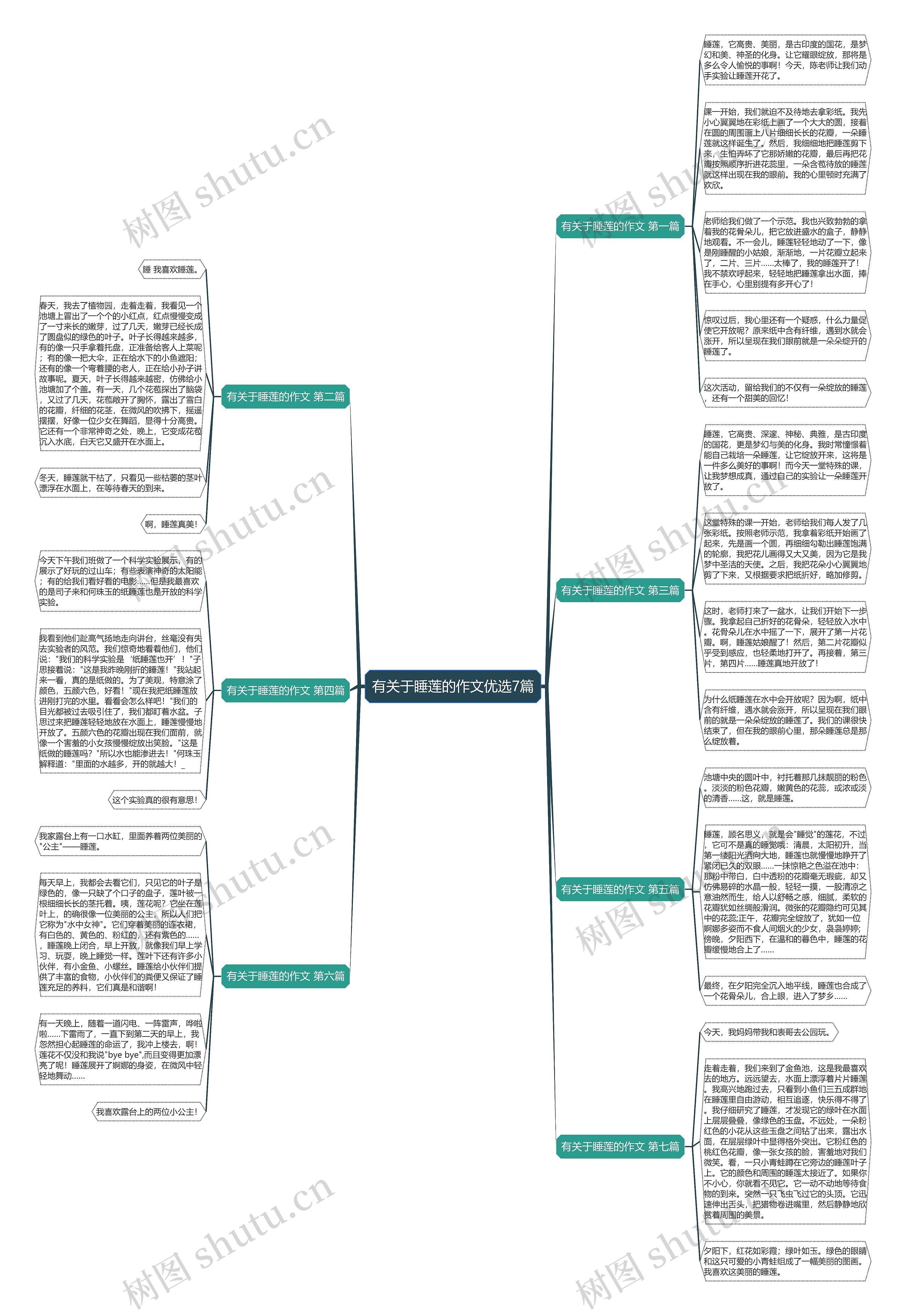 有关于睡莲的作文优选7篇 有关于睡莲的作文优选7篇