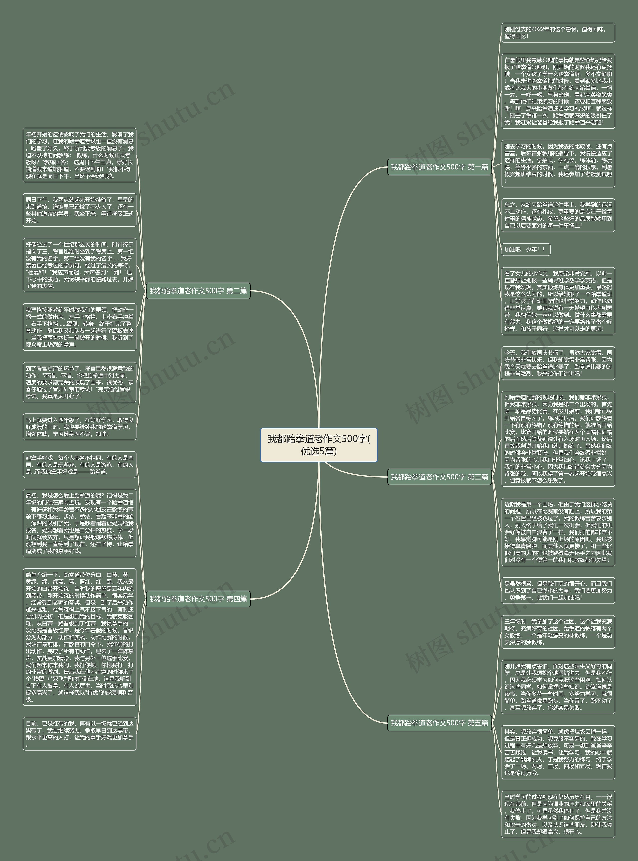 我都跆拳道老作文500字(优选5篇)思维导图