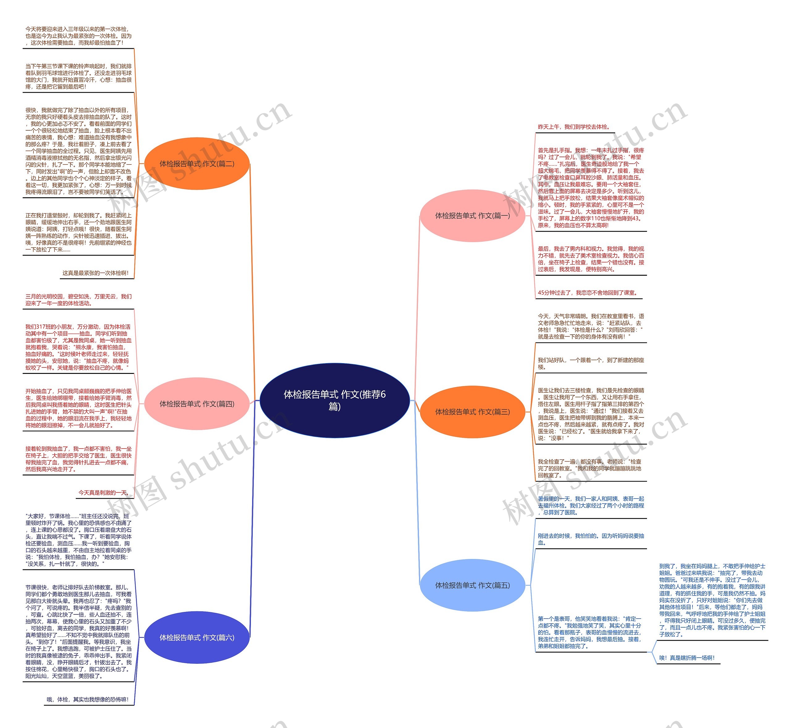 体检报告单式 作文(推荐6篇)思维导图