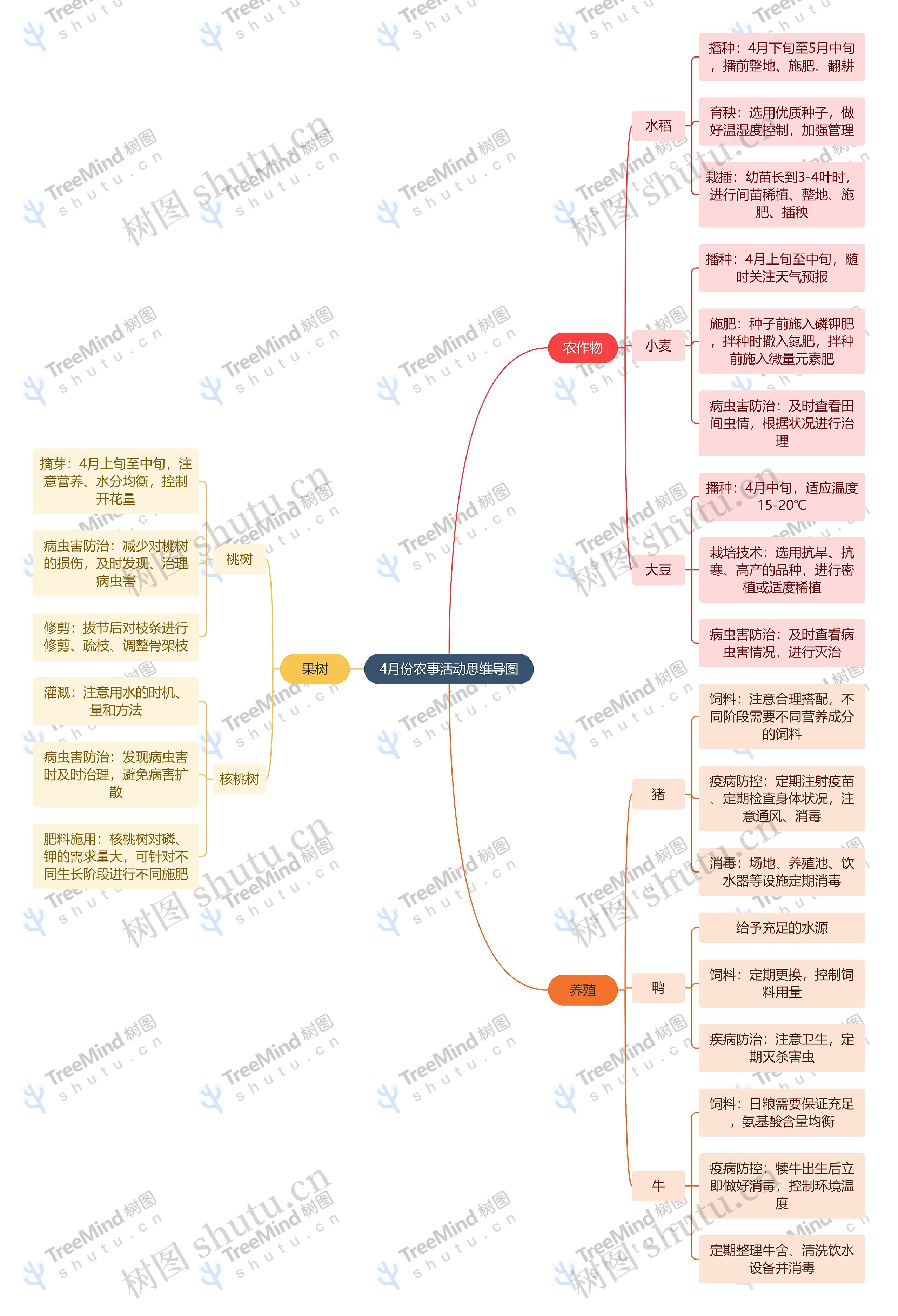 4月份农事活动思维导图