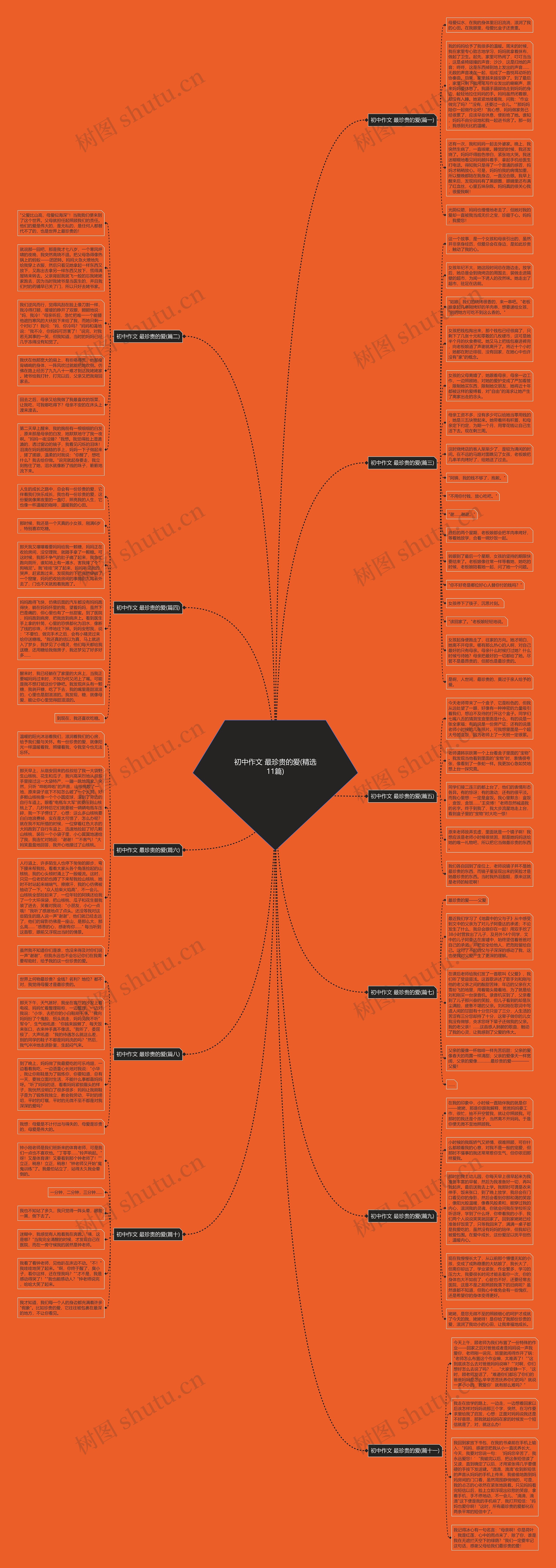 初中作文 最珍贵的爱(精选11篇)思维导图