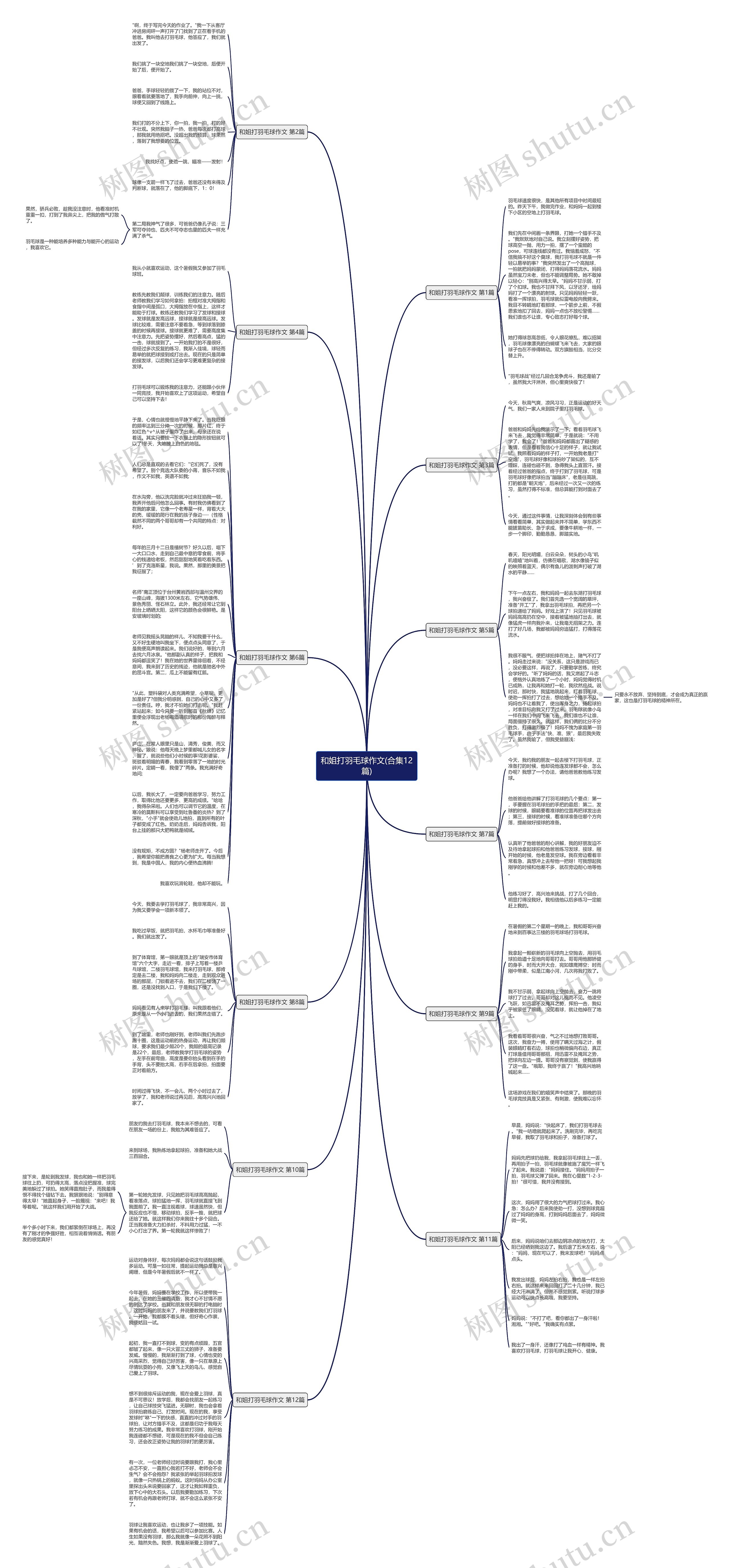 和姐打羽毛球作文(合集12篇)思维导图