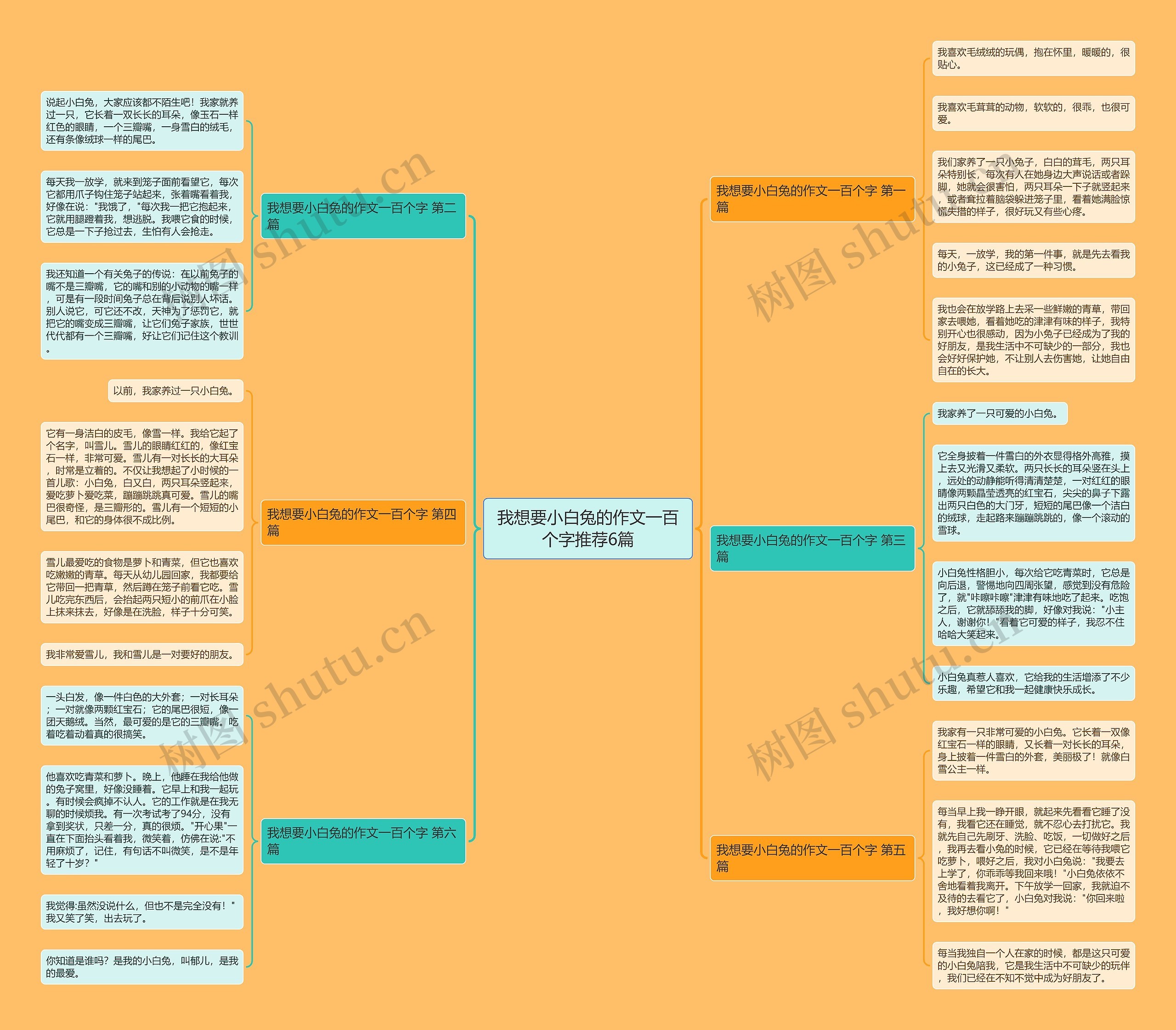 我想要小白兔的作文一百个字推荐6篇思维导图