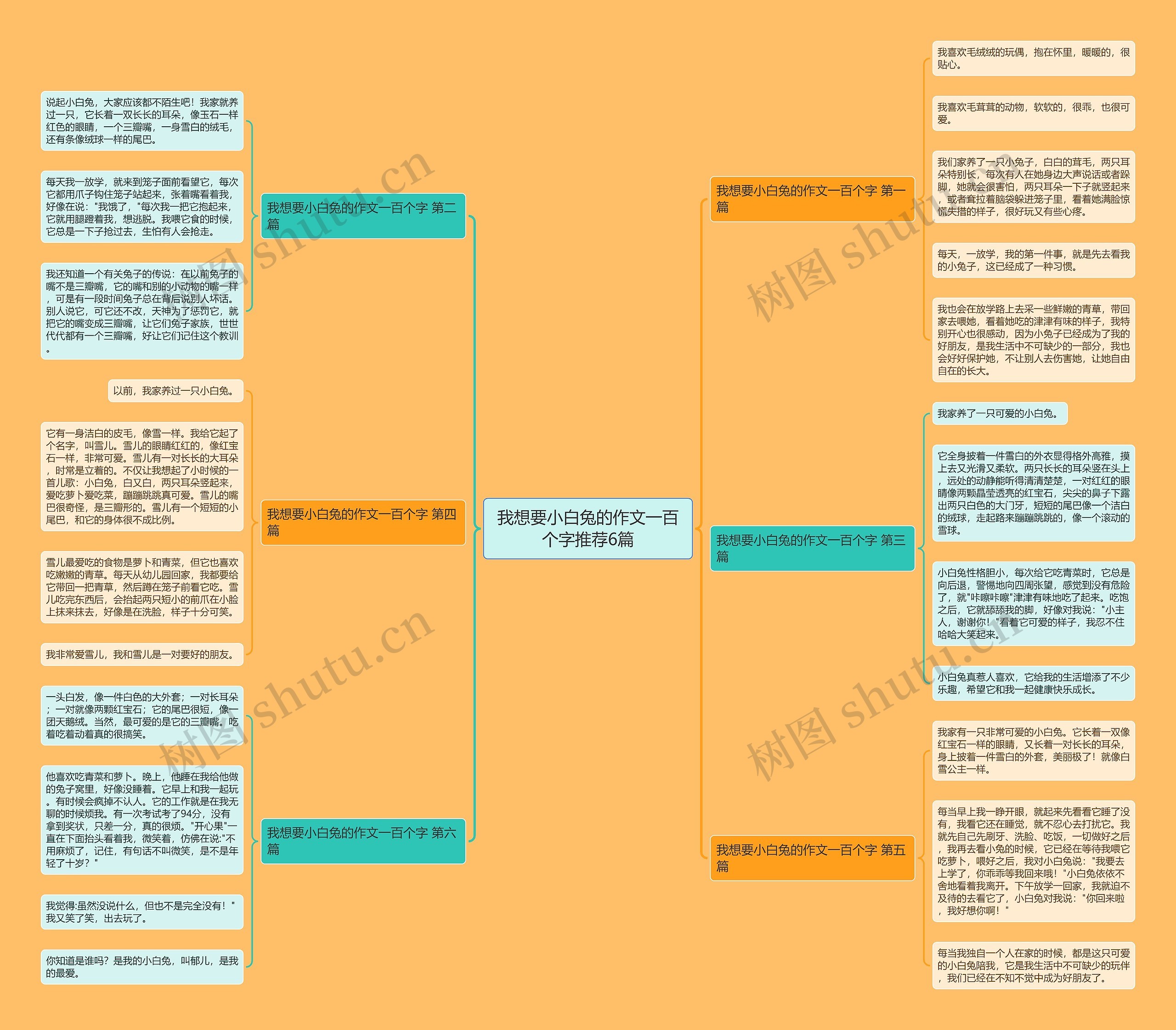 我想要小白兔的作文一百个字推荐6篇 我想要小白兔的作文一百个字推荐6篇