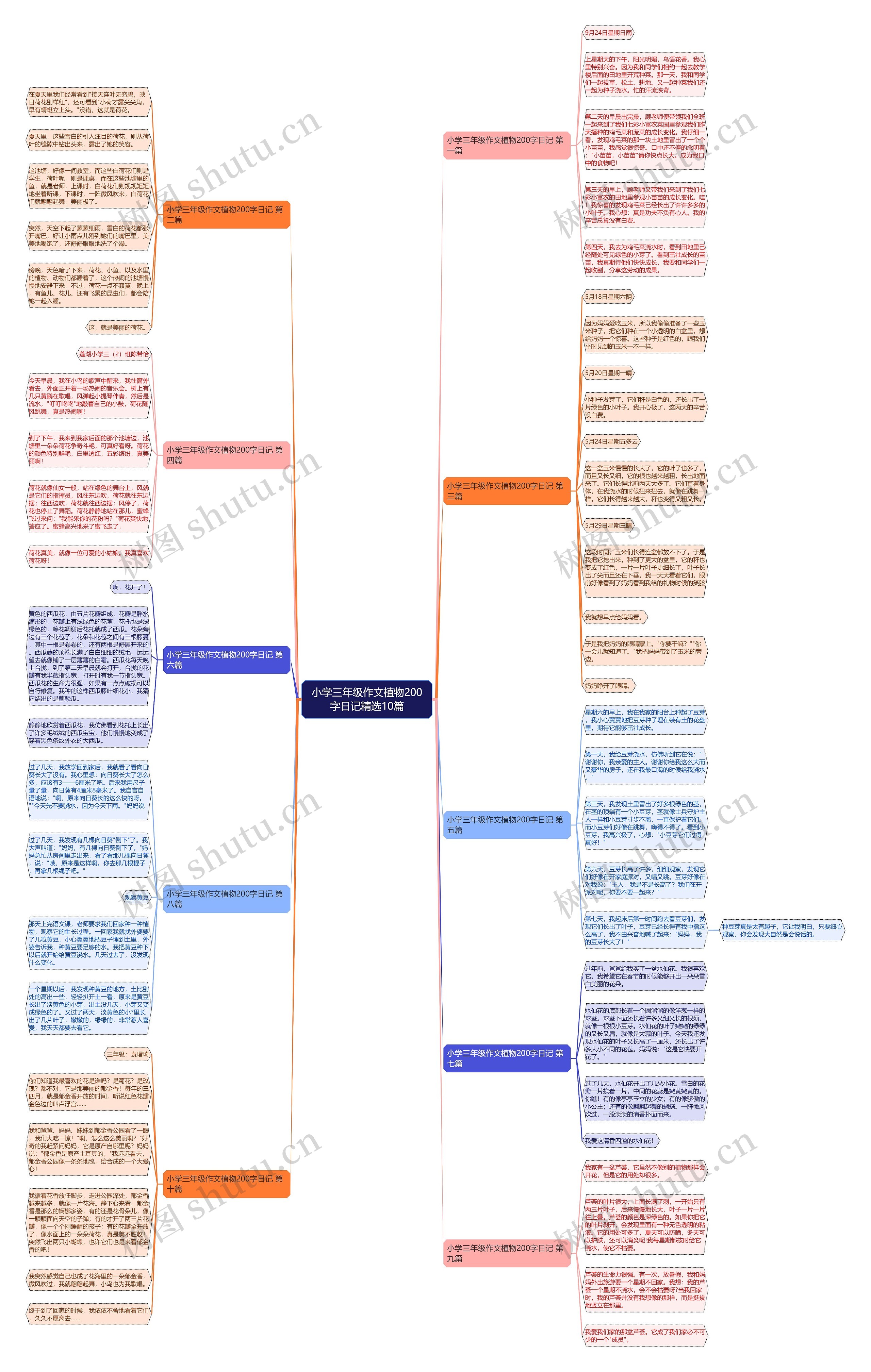 小学三年级作文植物200字日记精选10篇思维导图