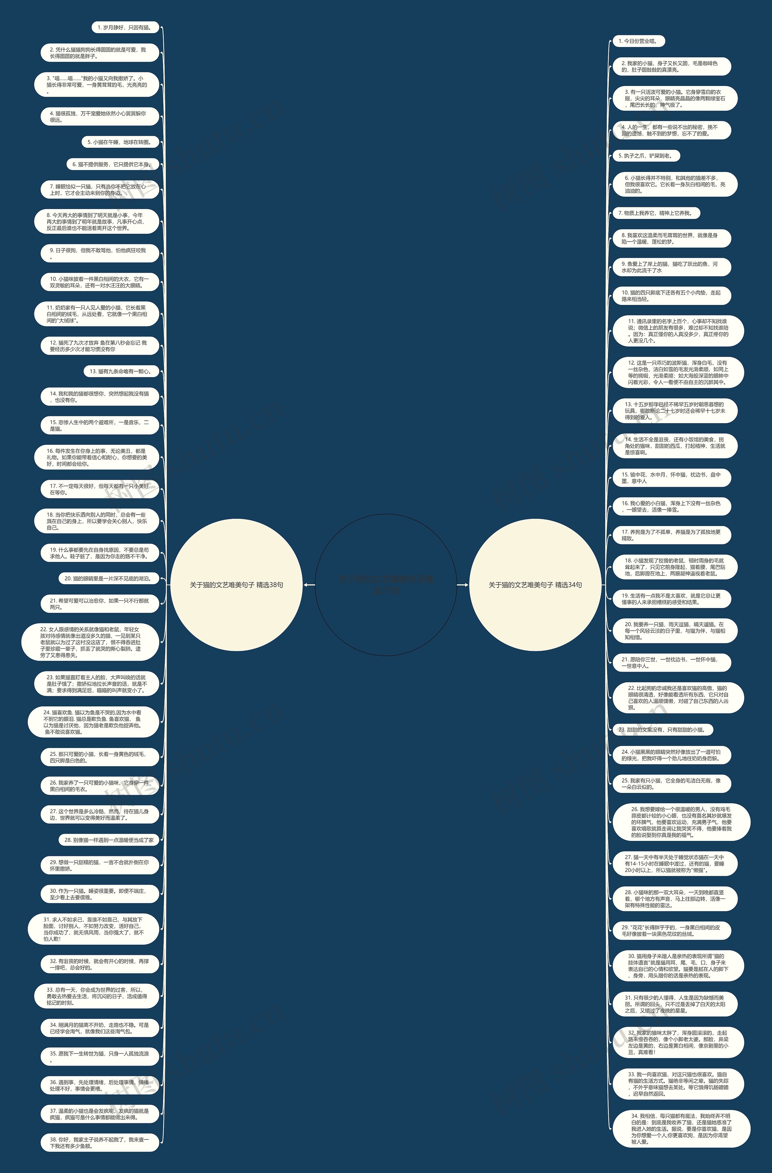 关于猫的文艺唯美句子精选72句思维导图