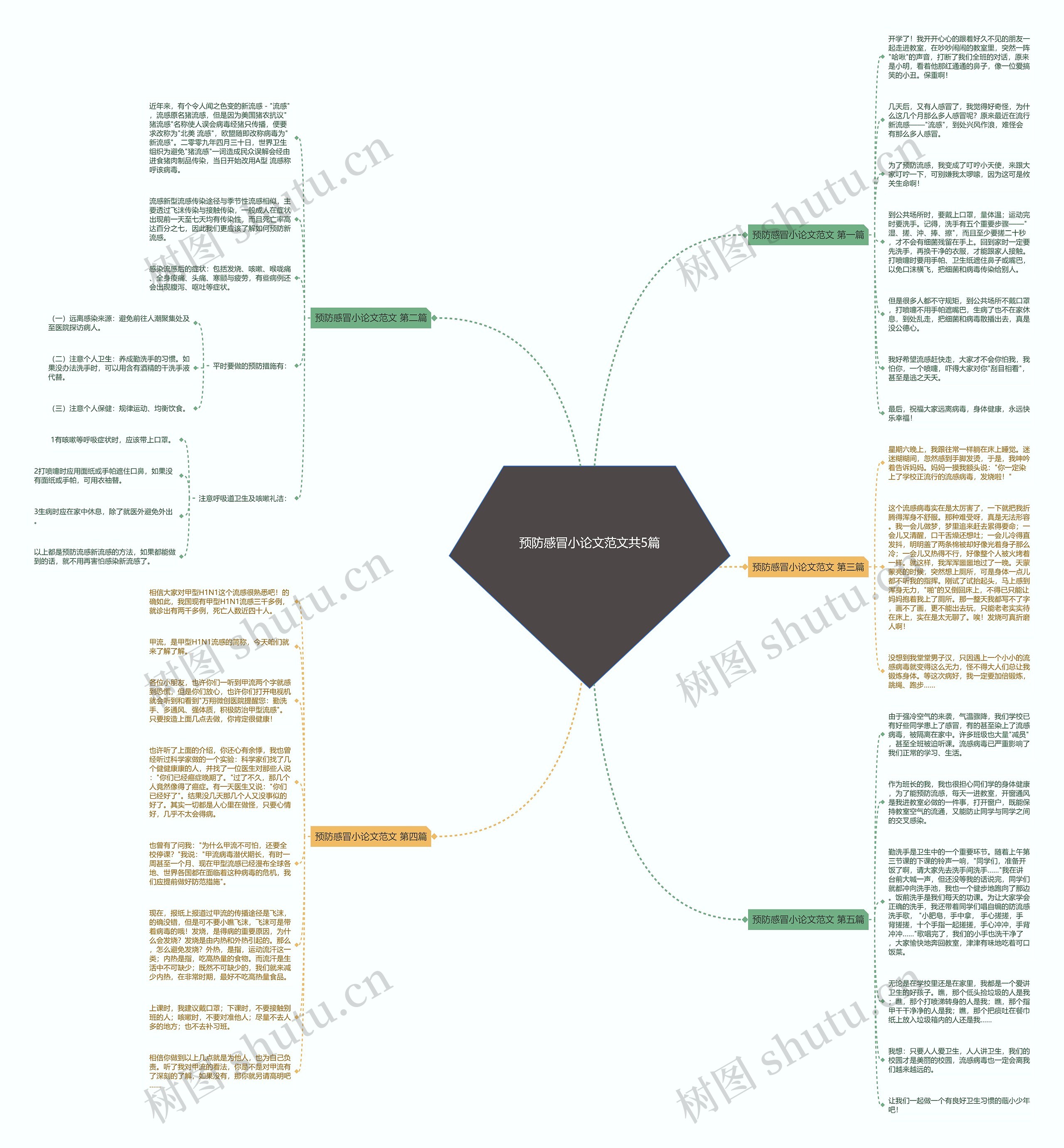 预防感冒小论文范文共5篇思维导图