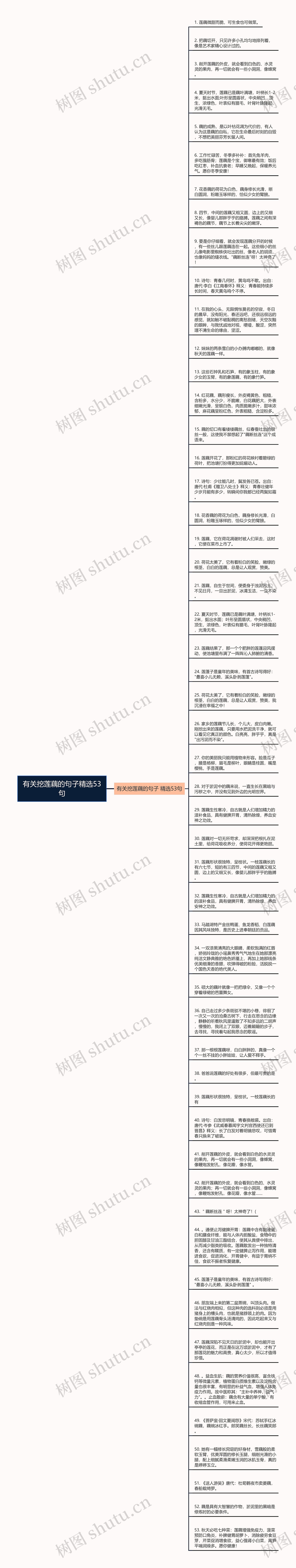 有关挖莲藕的句子精选53句思维导图