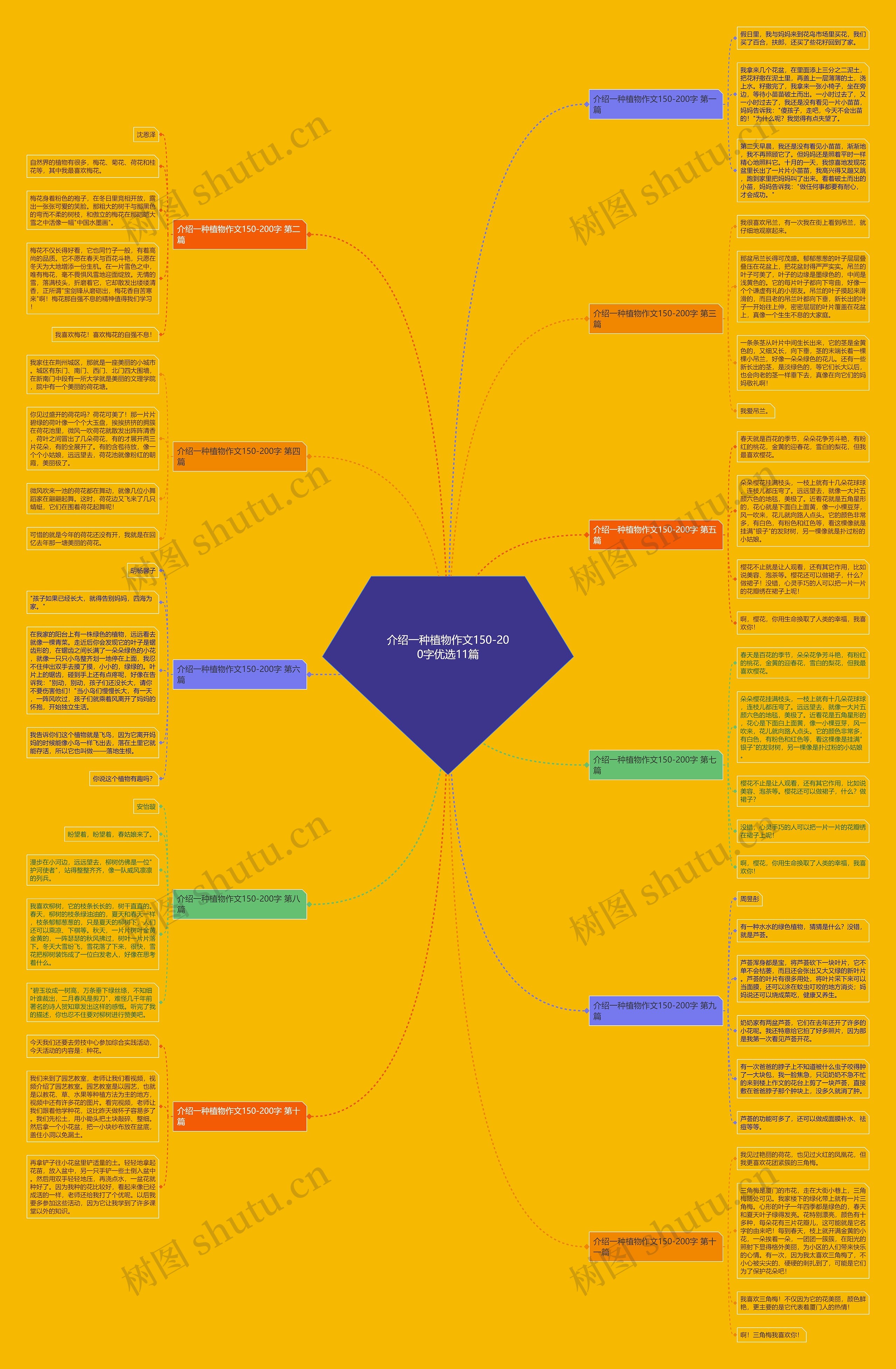 介绍一种植物作文150-200字优选11篇思维导图