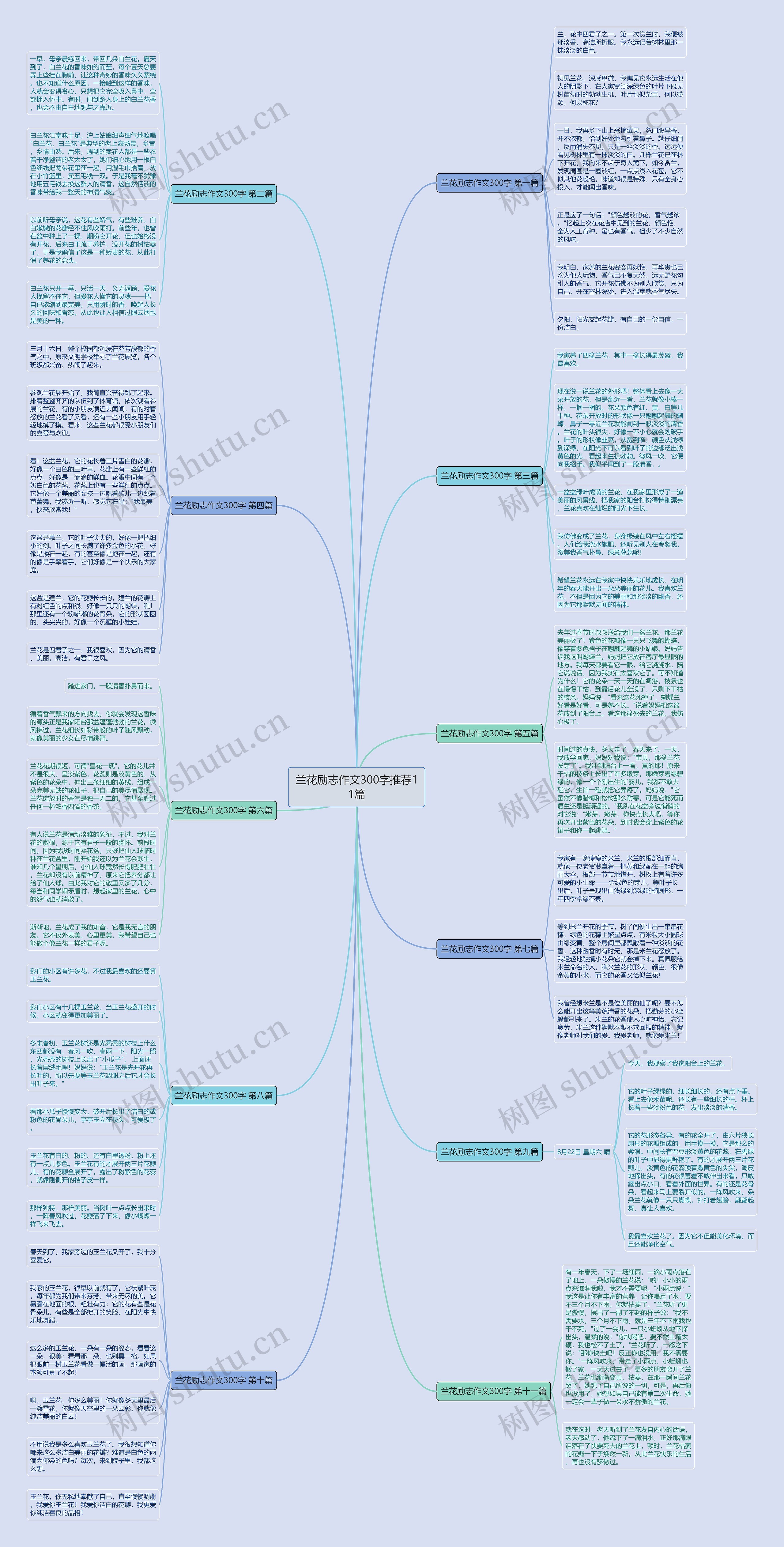 兰花励志作文300字推荐11篇思维导图