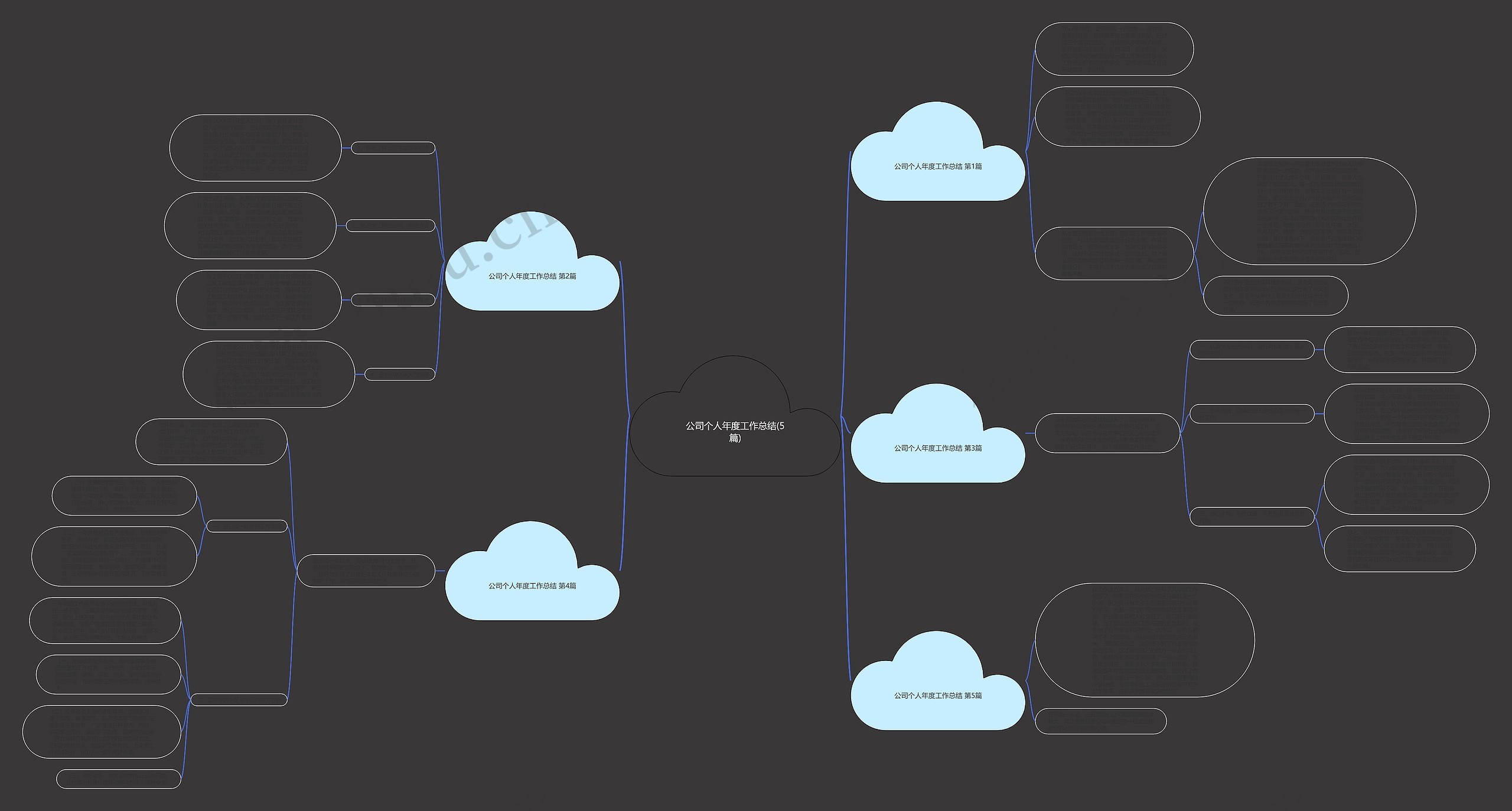 公司个人年度工作总结(5篇)思维导图