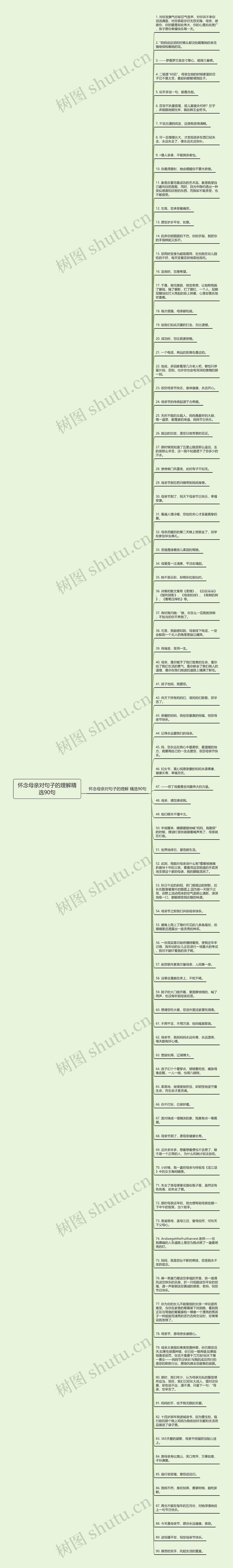 怀念母亲对句子的理解精选90句思维导图