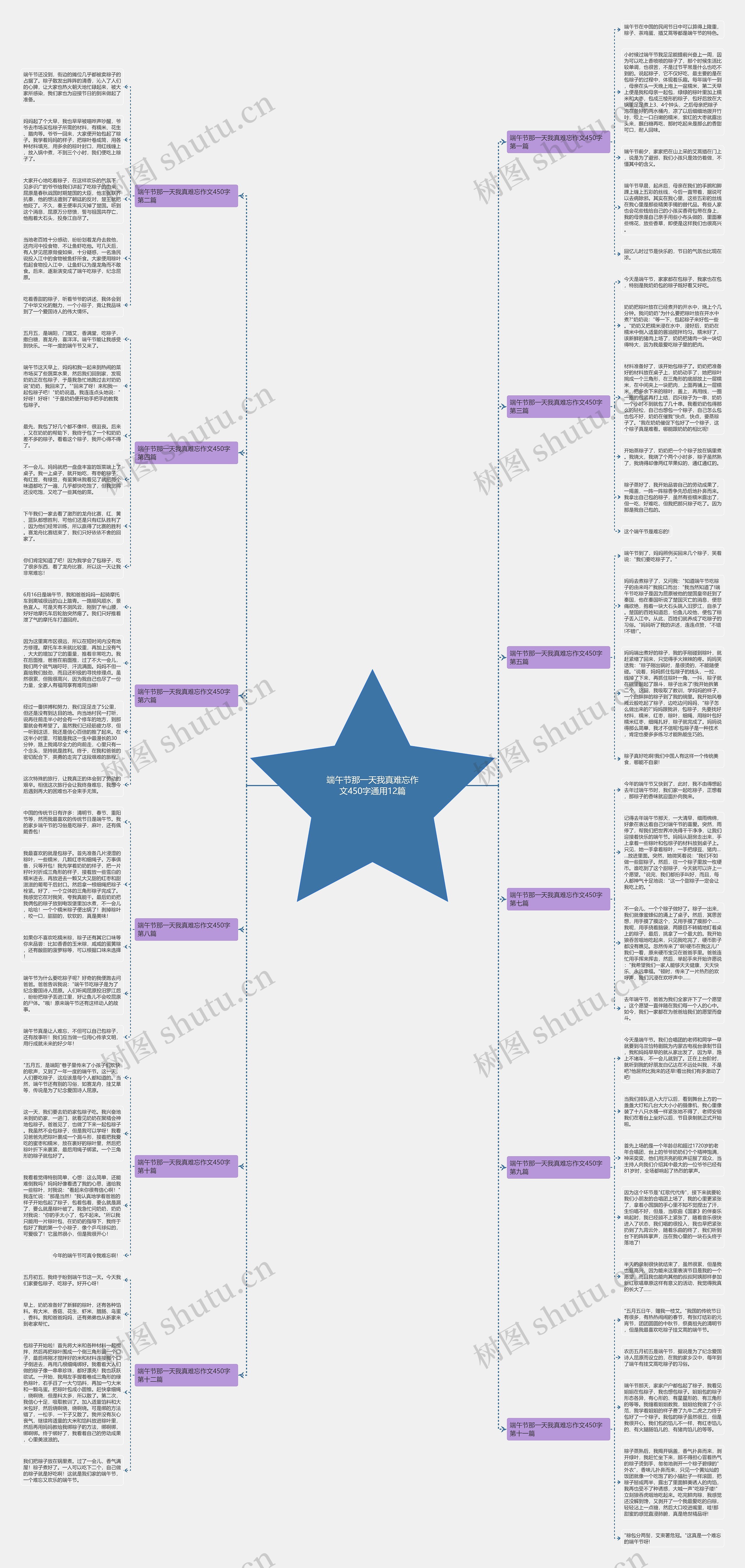 端午节那一天我真难忘作文450字通用12篇思维导图