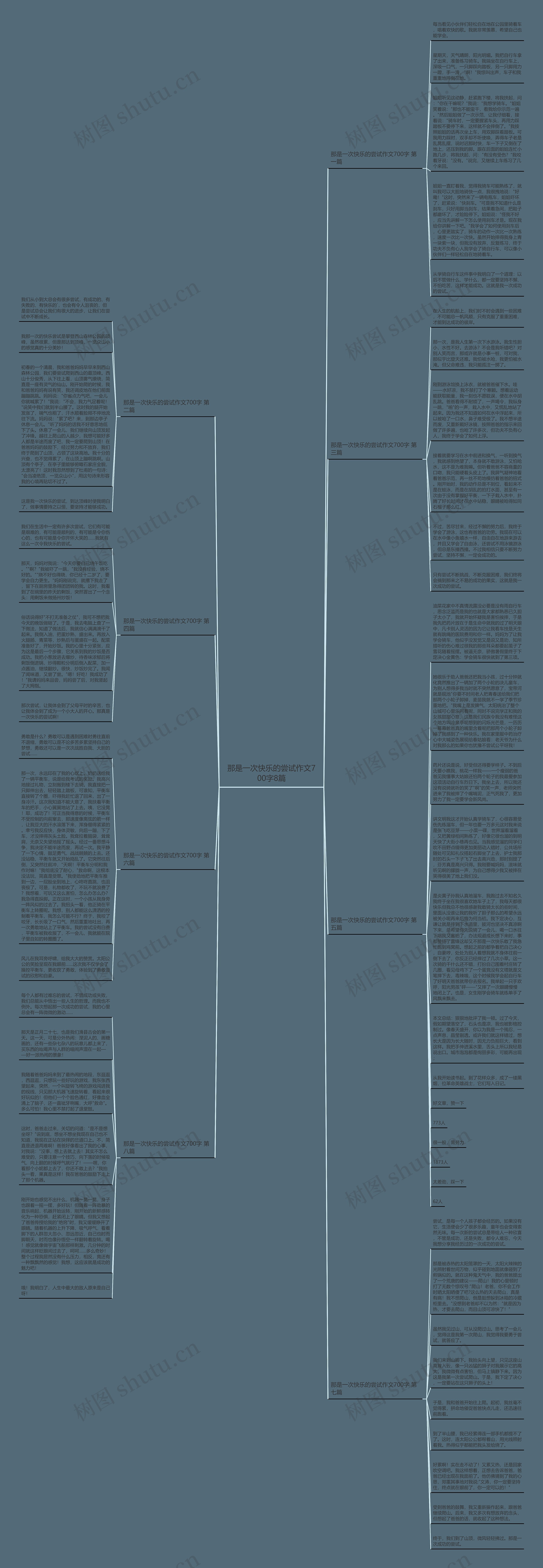 那是一次快乐的尝试作文700字8篇思维导图