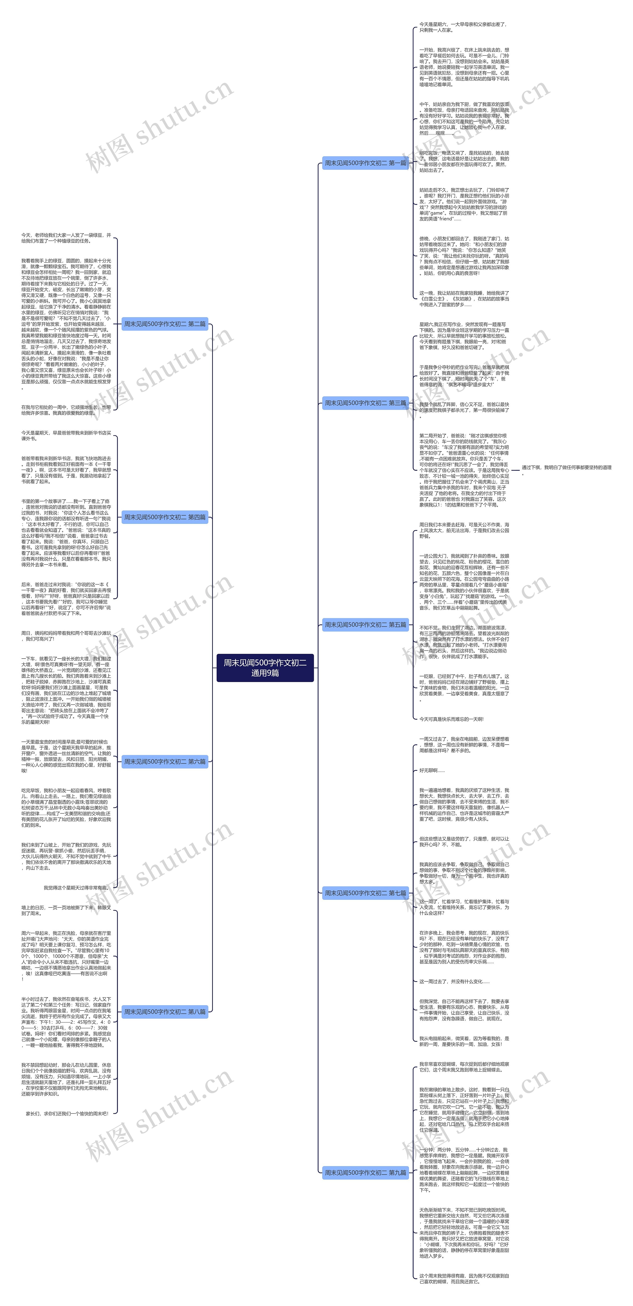 周末见闻500字作文初二通用9篇思维导图