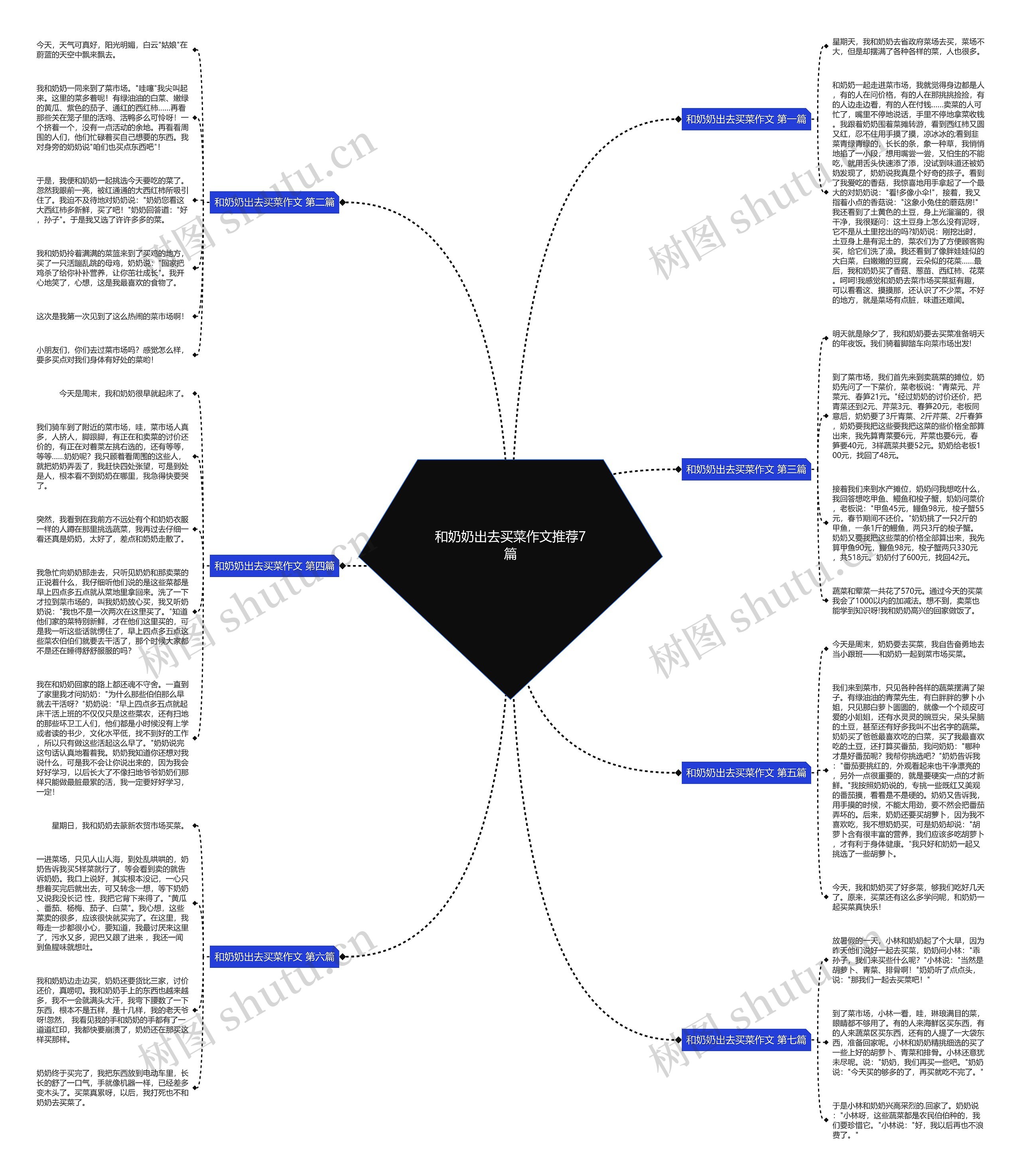 和奶奶出去买菜作文推荐7篇思维导图