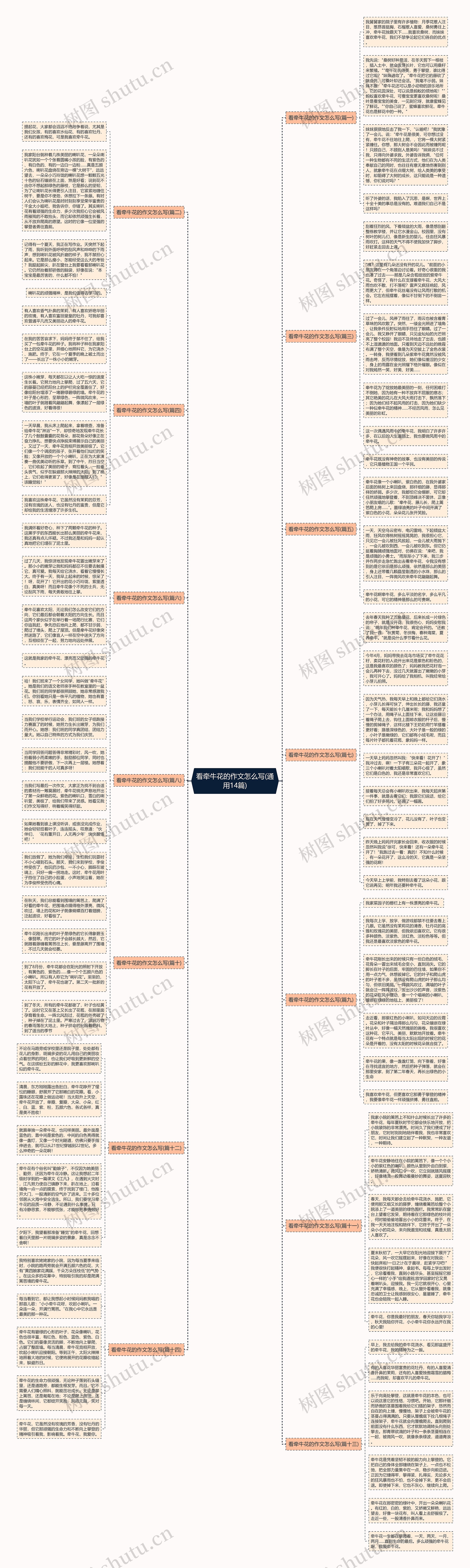 看牵牛花的作文怎么写(通用14篇)思维导图