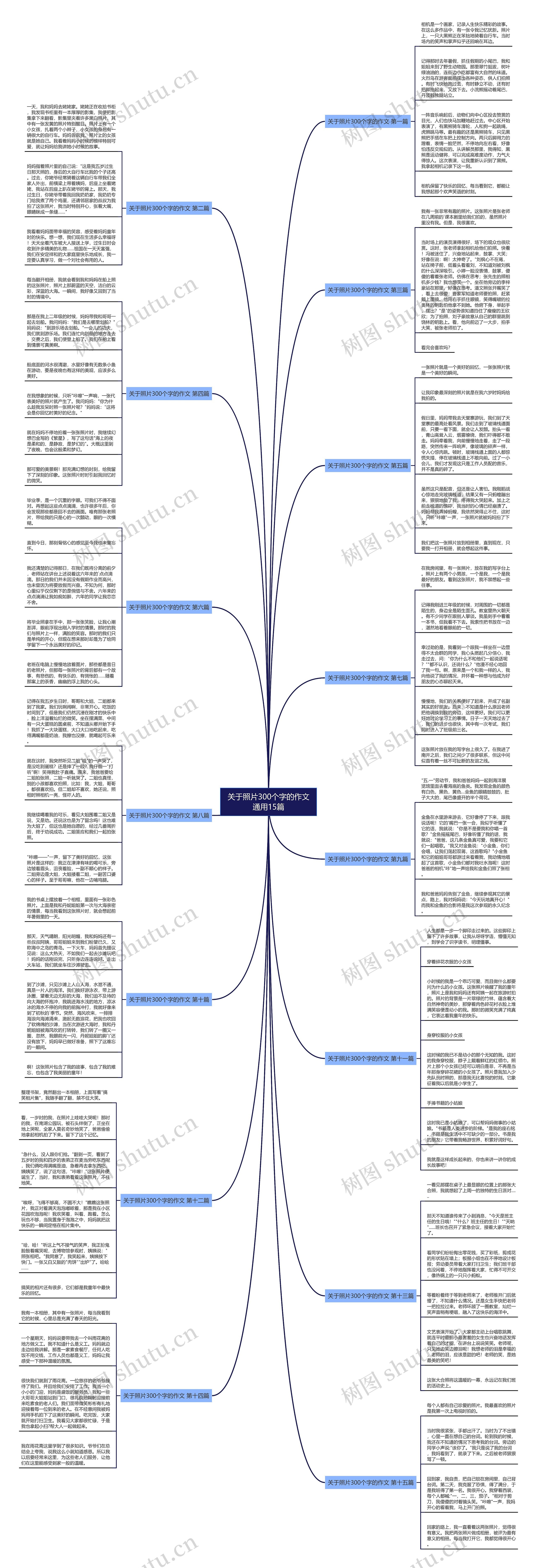 关于照片300个字的作文通用15篇思维导图