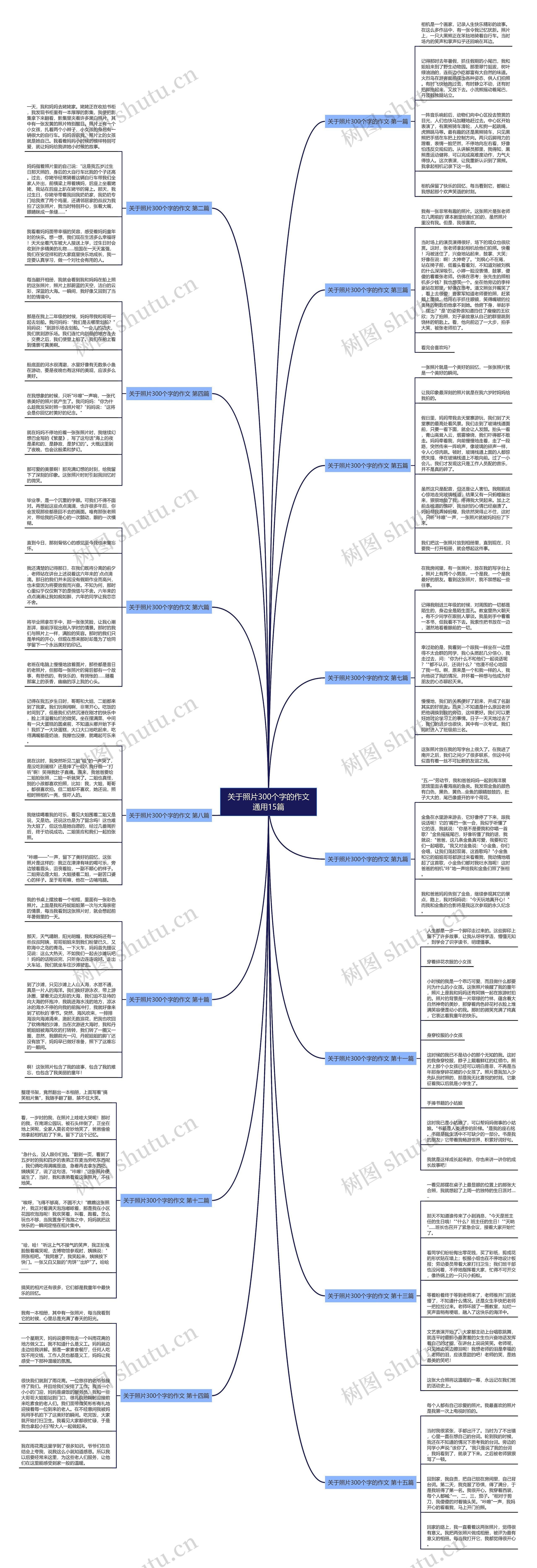 关于照片300个字的作文通用15篇 关于照片300个字的作文通用15篇