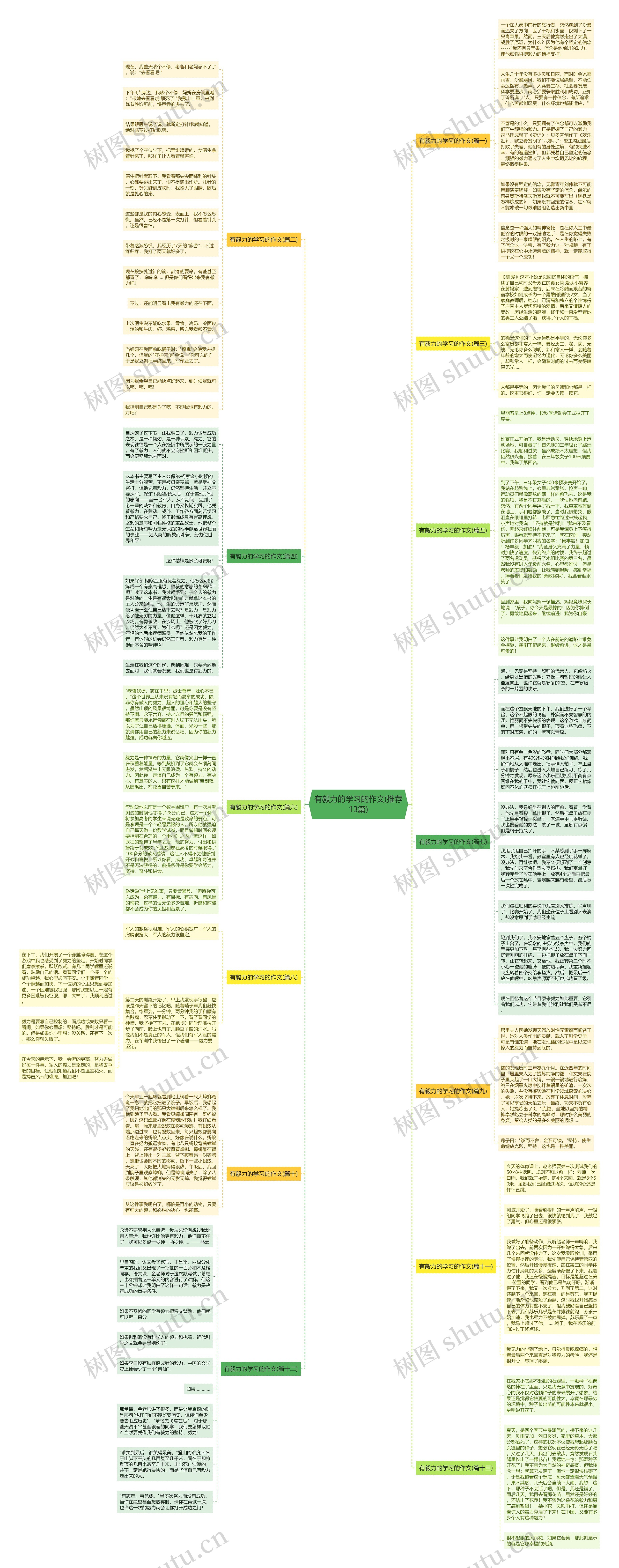 有毅力的学习的作文(推荐13篇)思维导图