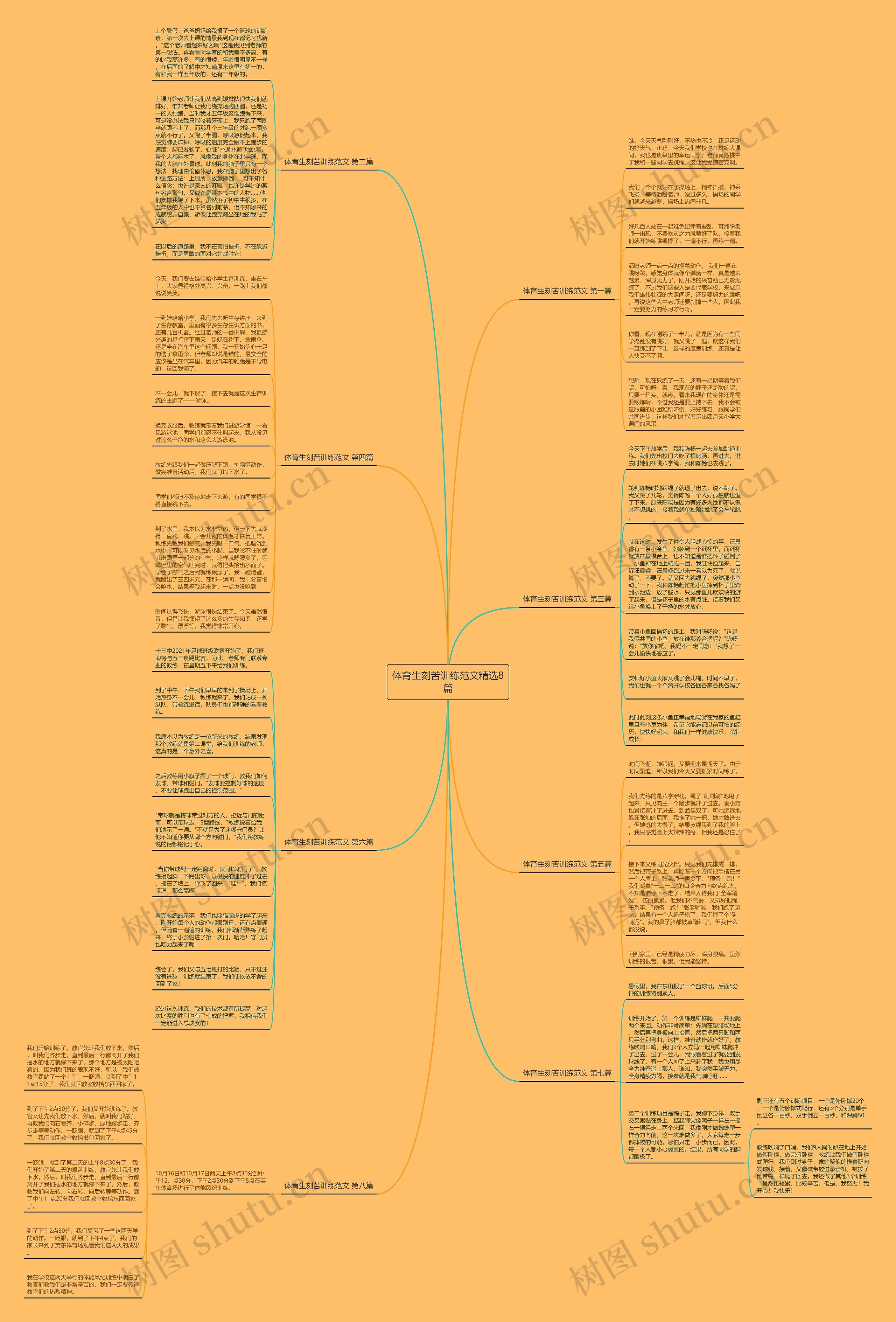 体育生刻苦训练范文精选8篇思维导图