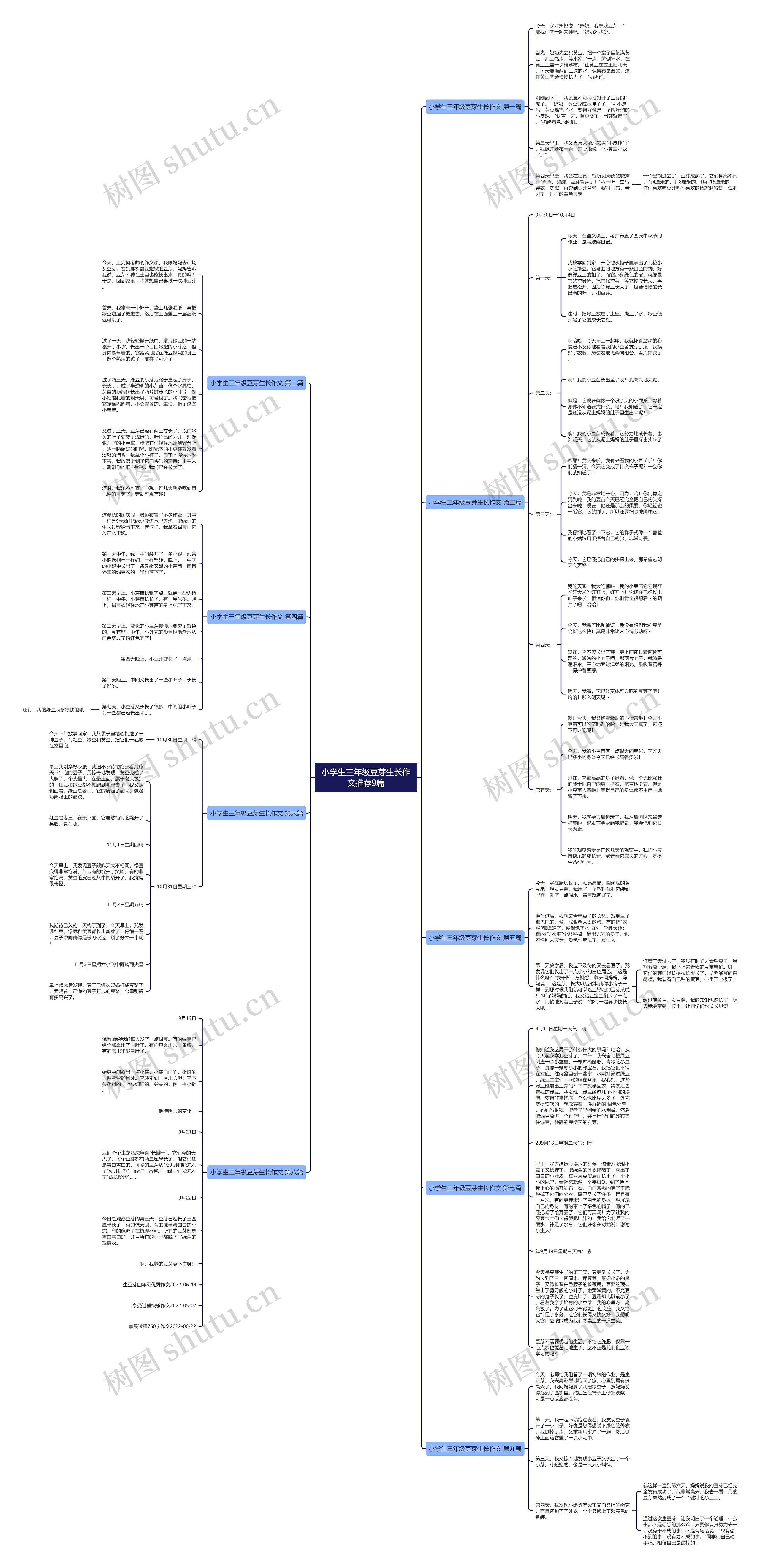 小学生三年级豆芽生长作文推荐9篇思维导图