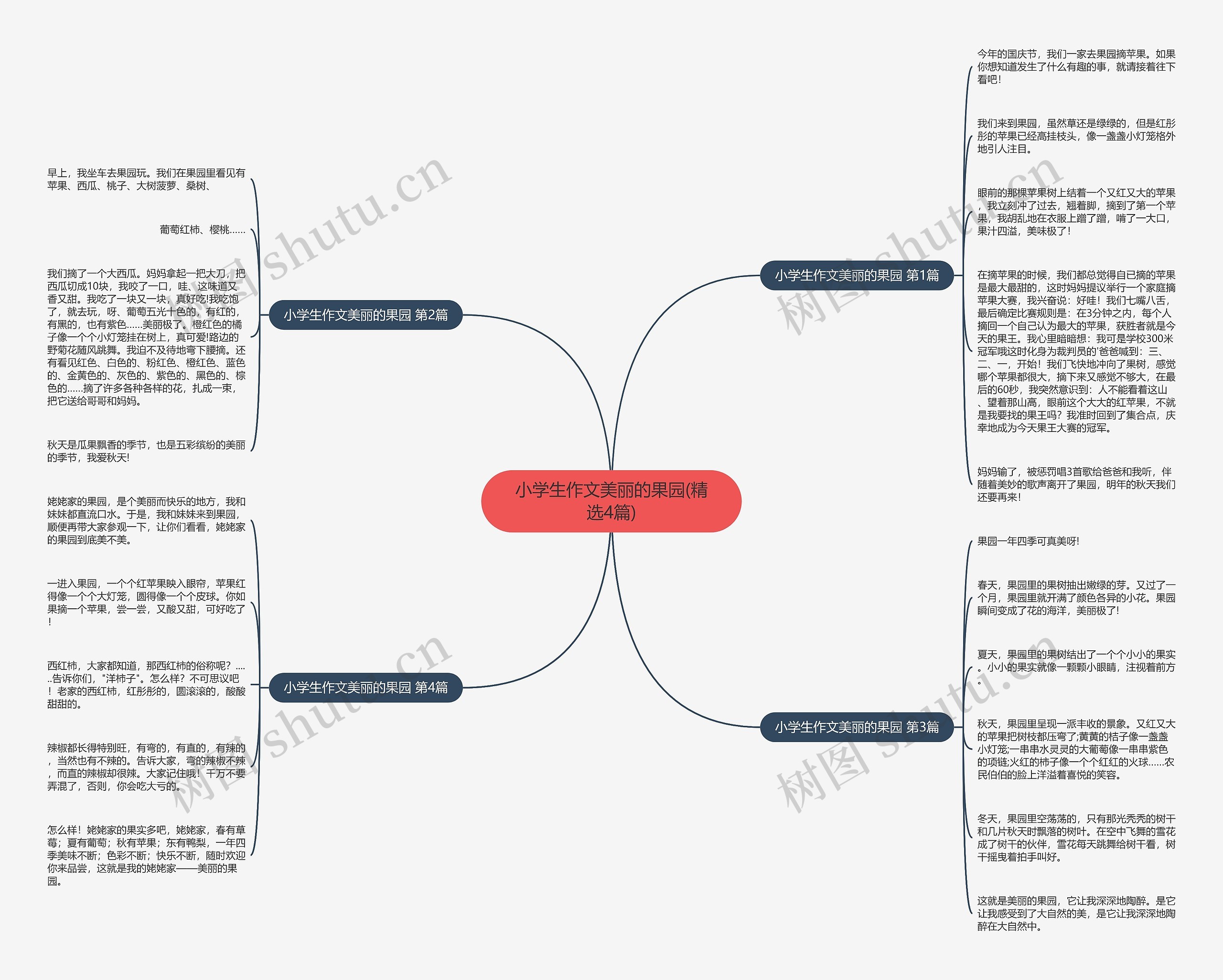 小学生作文美丽的果园(精选4篇)思维导图