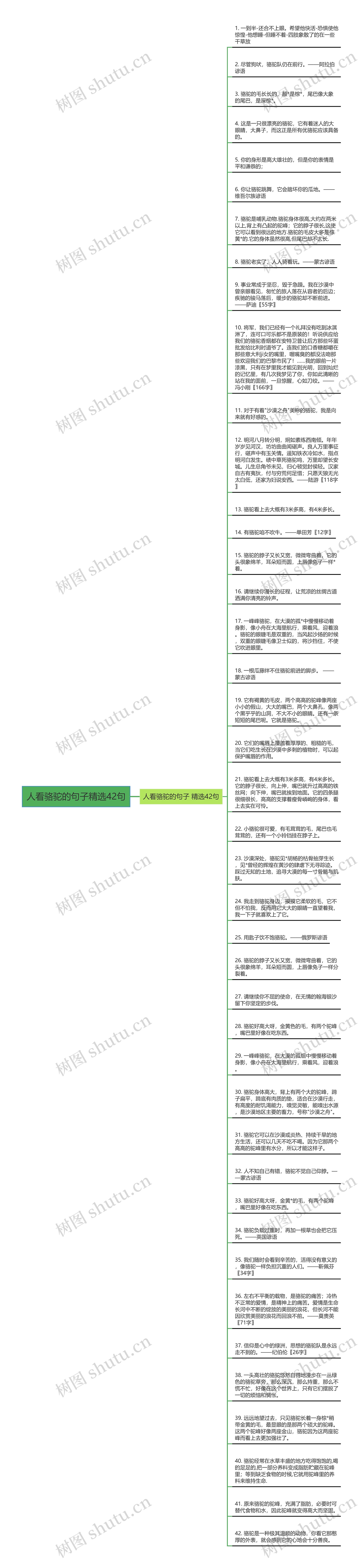 人看骆驼的句子精选42句思维导图