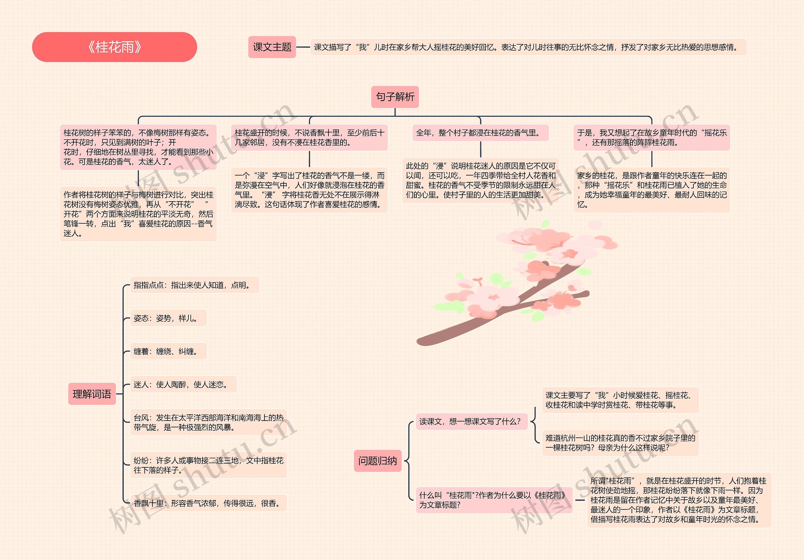 《桂花雨》思维导图