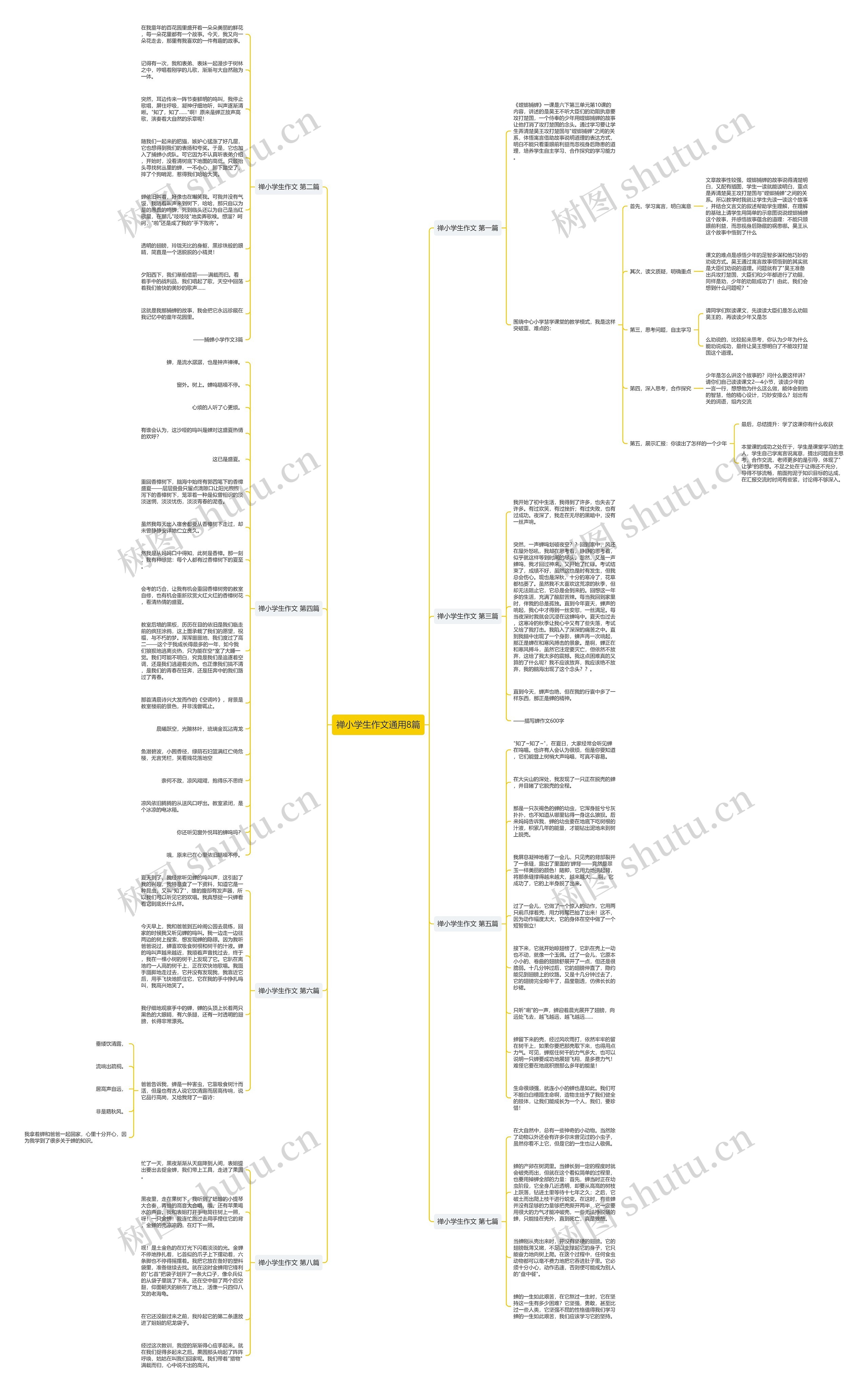 禅小学生作文通用8篇思维导图