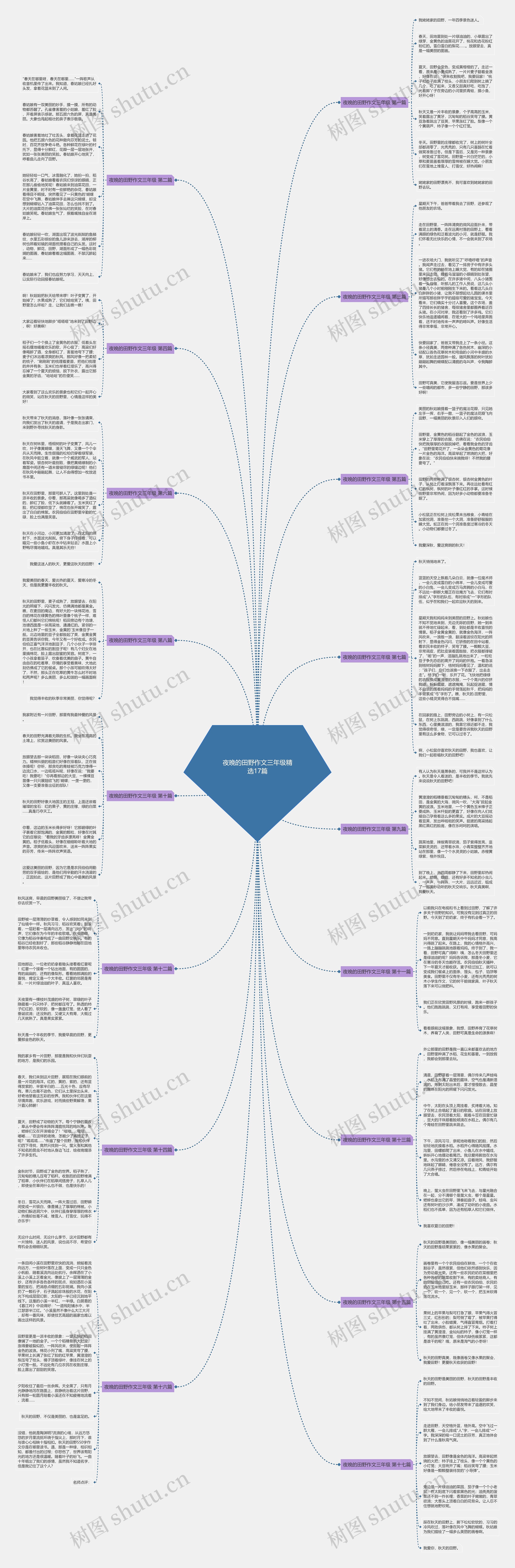 夜晚的田野作文三年级精选17篇