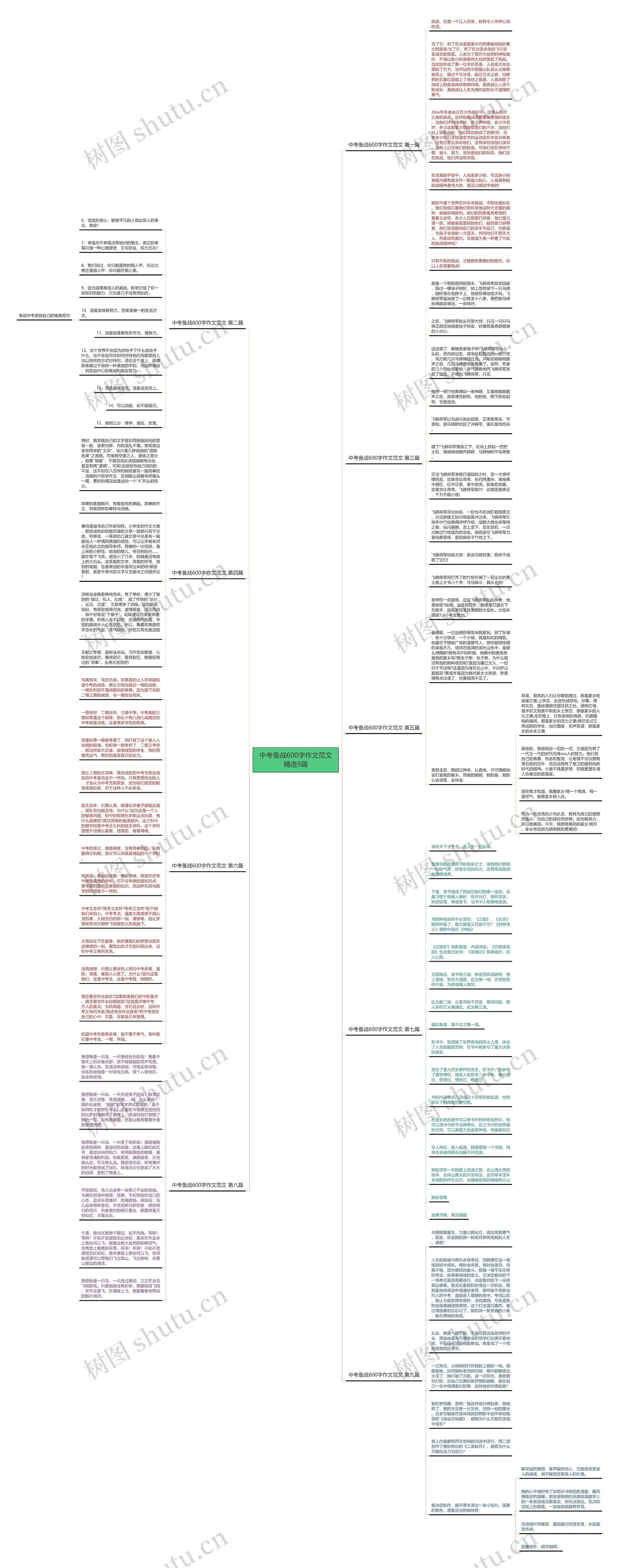 中考备战600字作文范文精选9篇思维导图