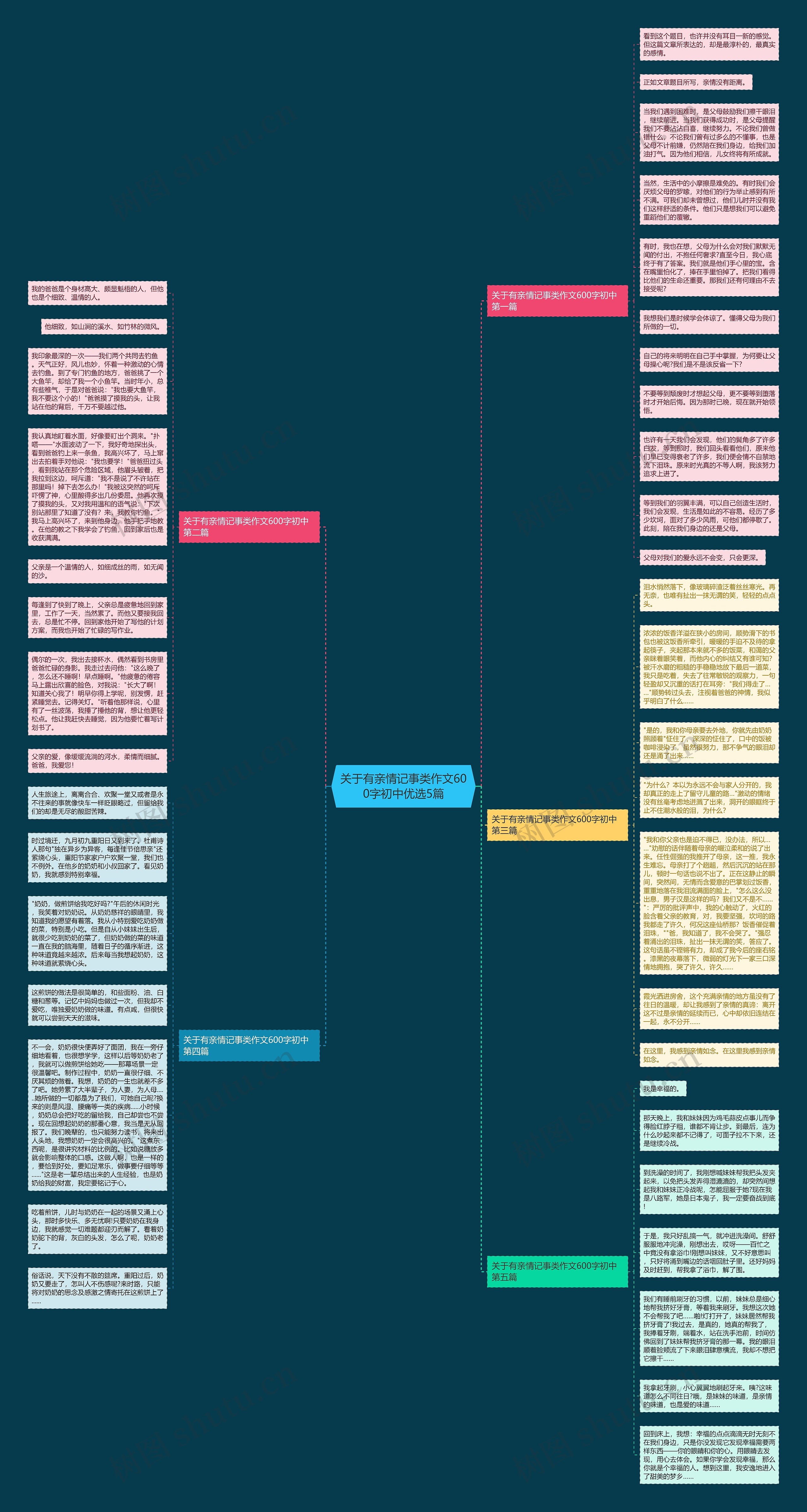 关于有亲情记事类作文600字初中优选5篇思维导图