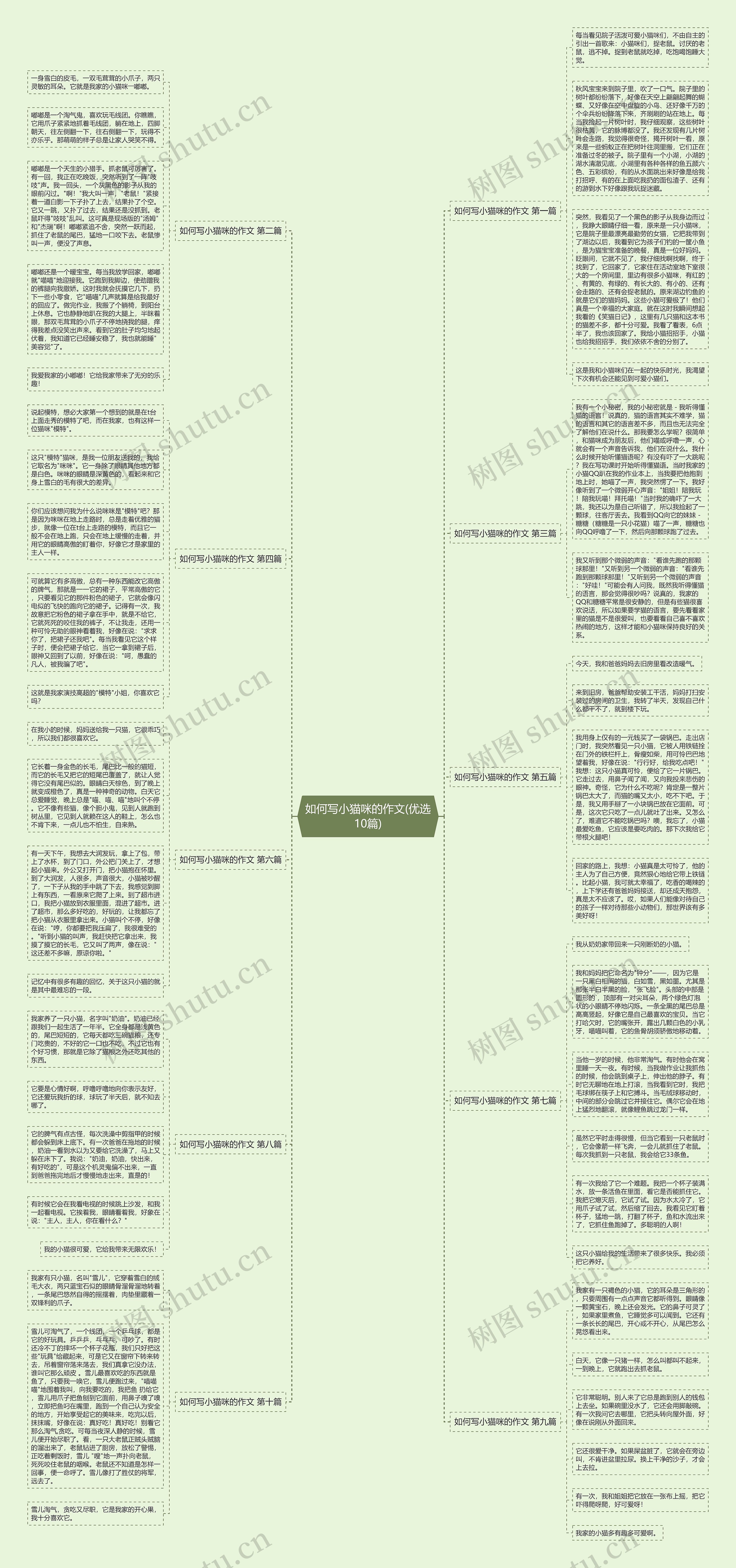 如何写小猫咪的作文(优选10篇)思维导图