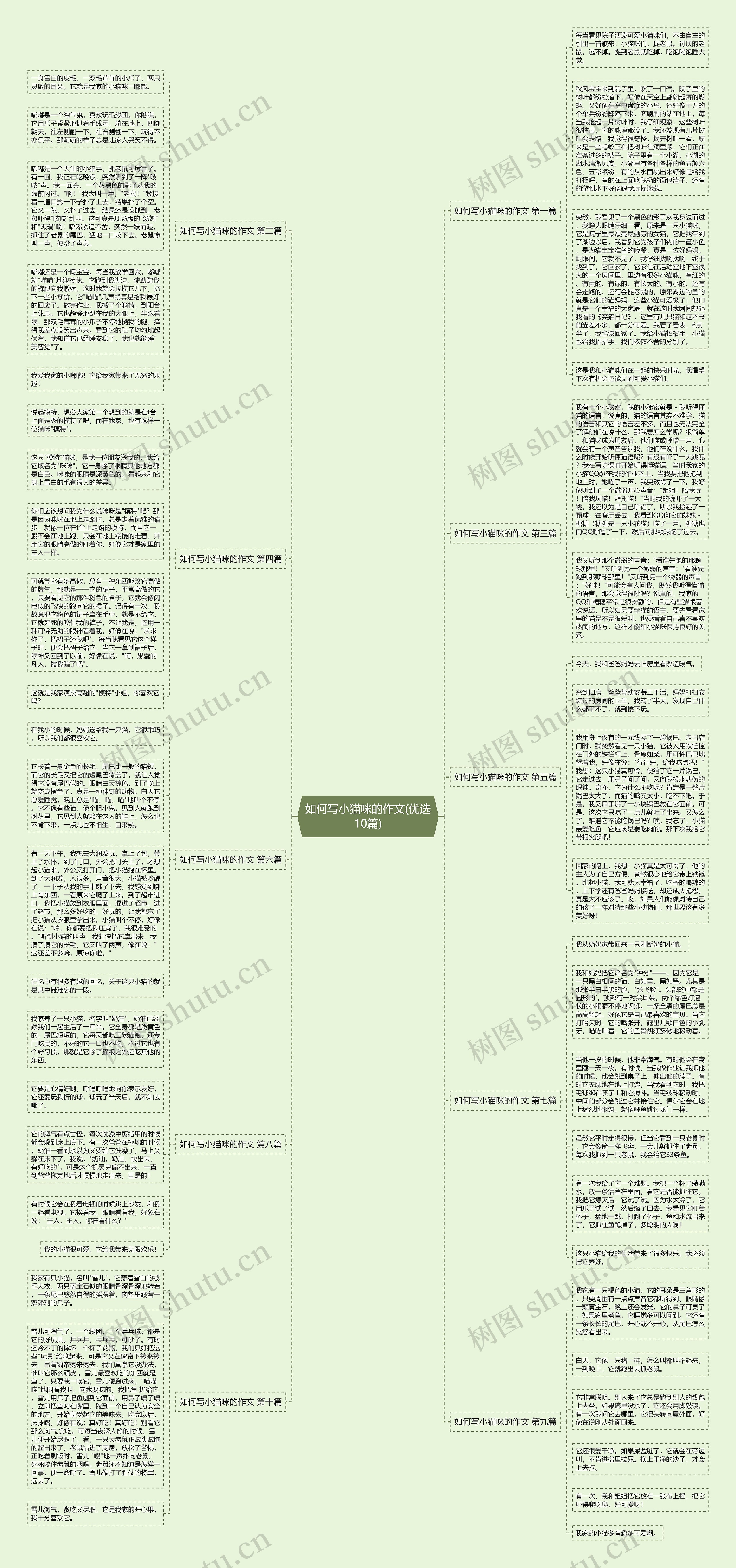 如何写小猫咪的作文(优选10篇) 如何写小猫咪的作文(优选10篇)